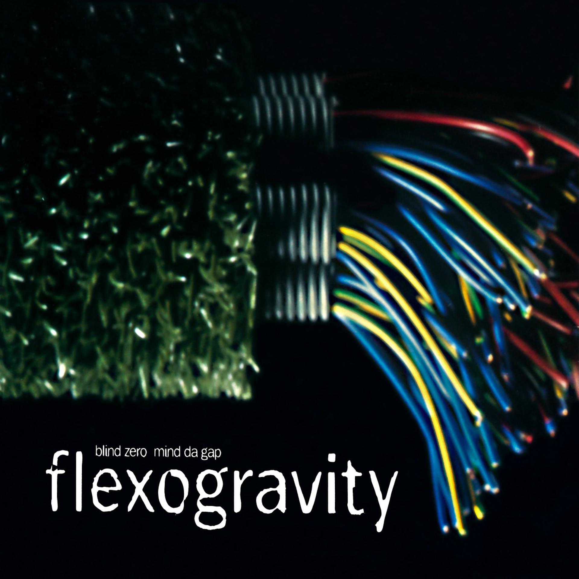 Постер альбома Flexogravity