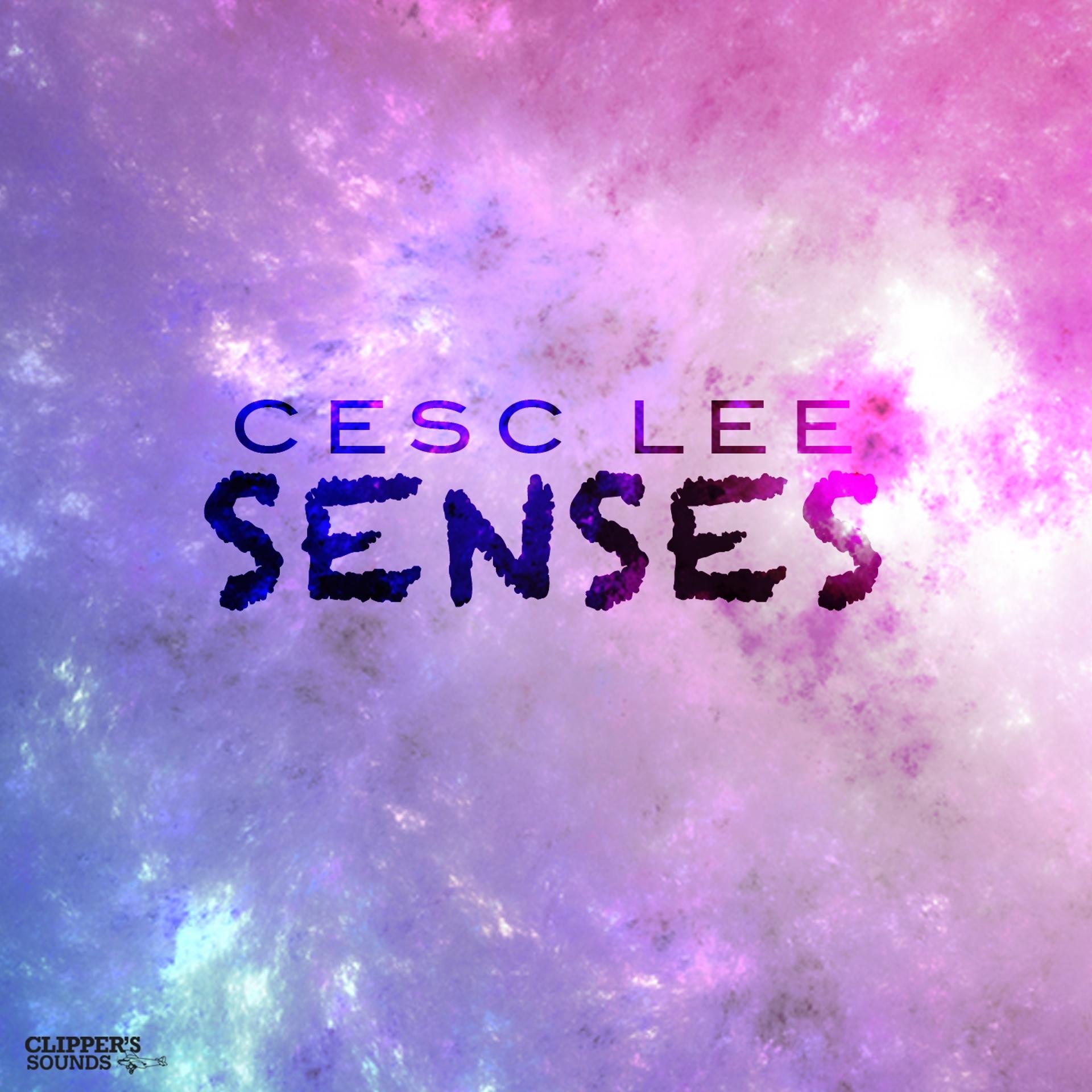 Постер альбома Senses