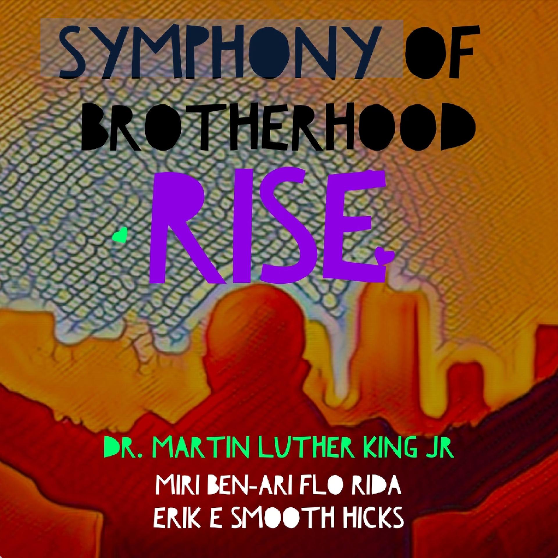 Постер альбома Symphony of Brotherhood Rise (feat. MLK)