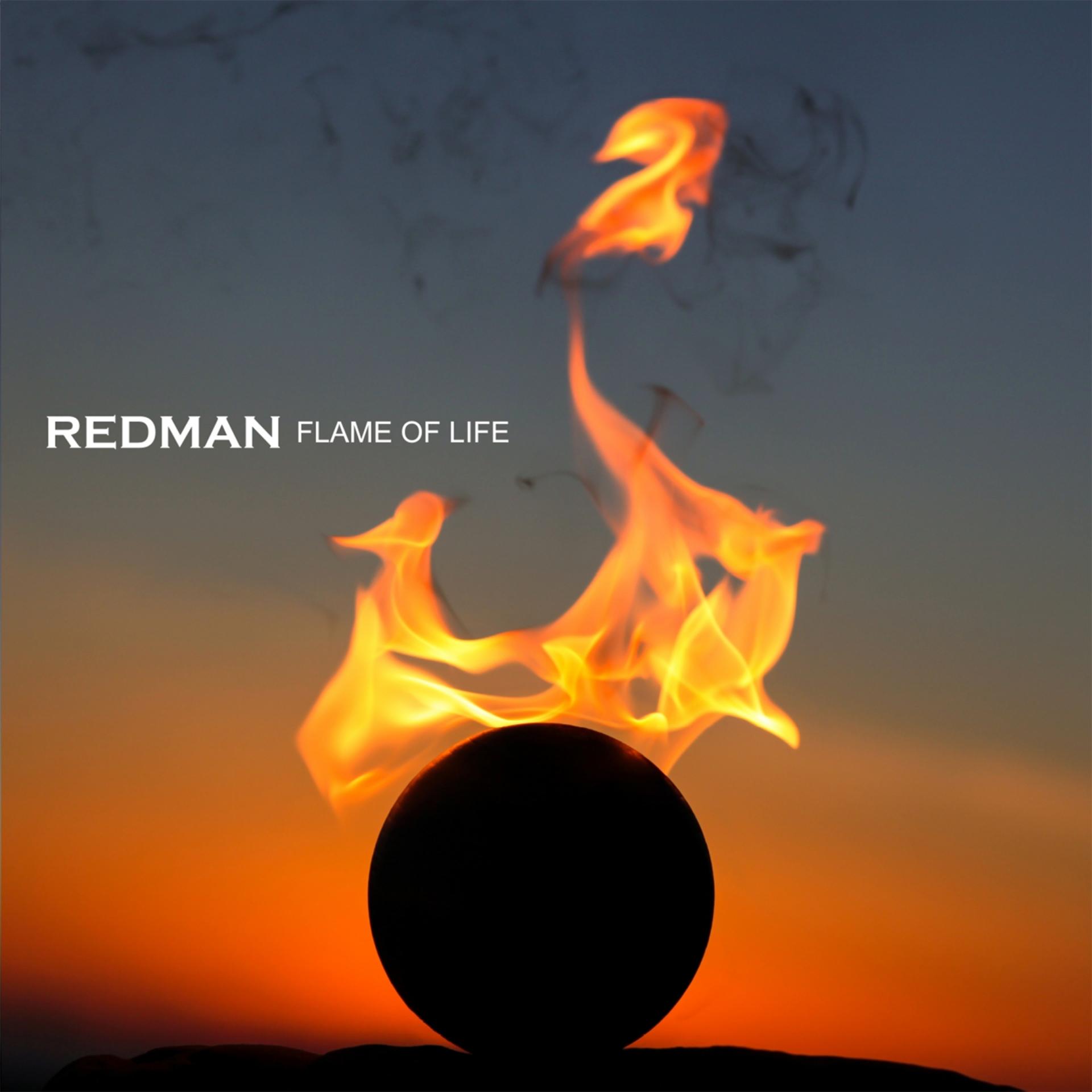 Постер альбома Flame of Life