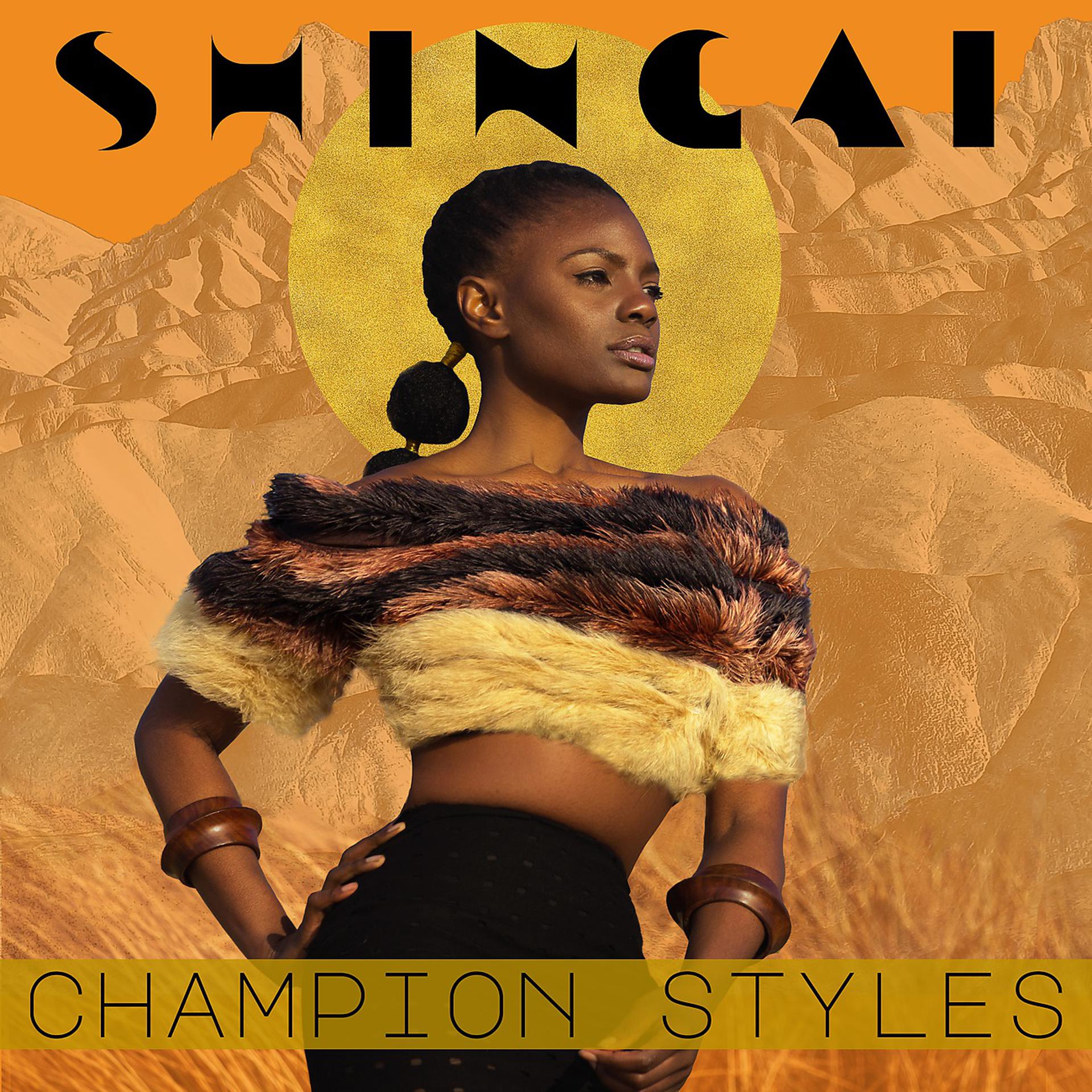 Постер альбома Champion Styles (Shaolin Cuts Remix)