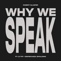 Постер альбома Why We Speak