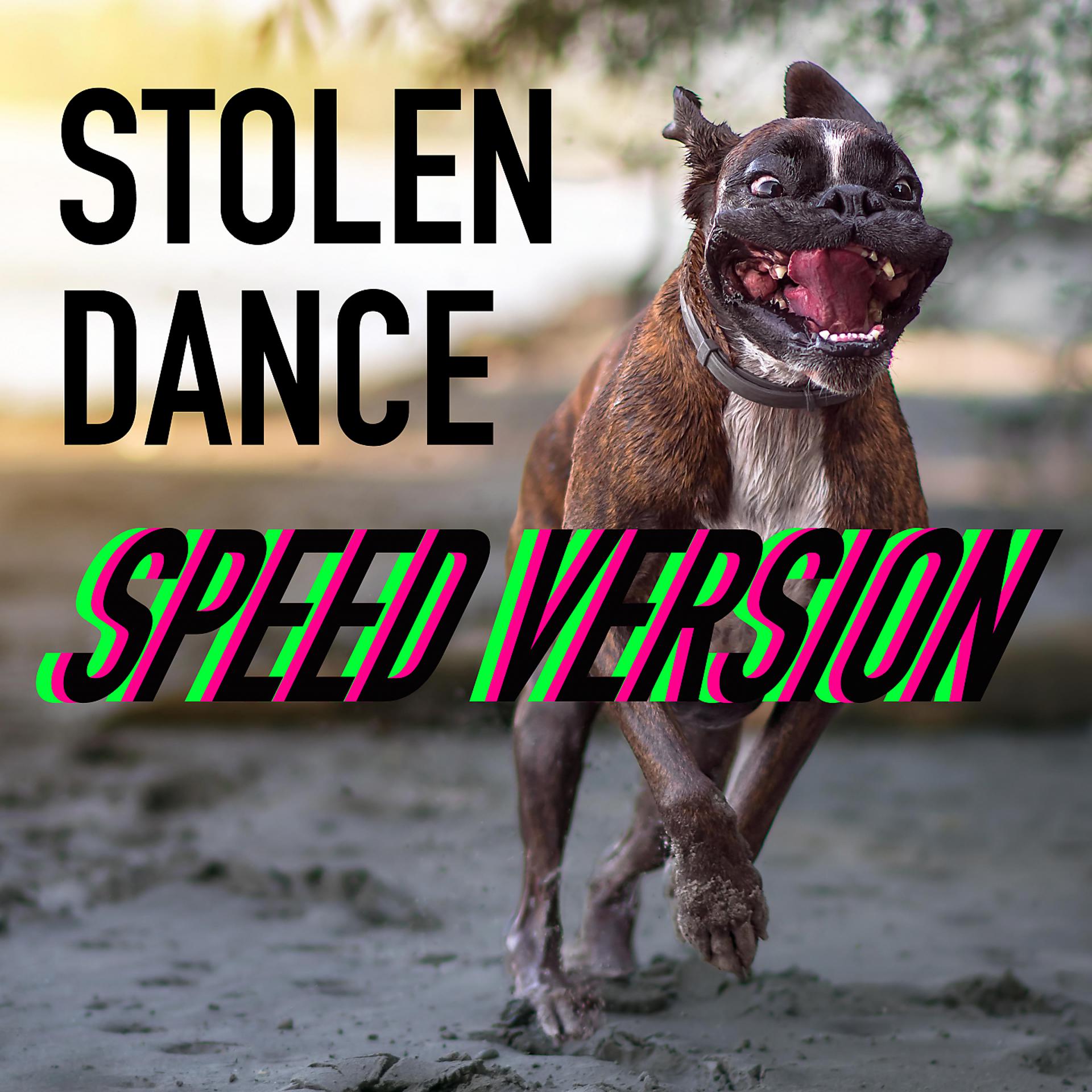 Постер альбома Stolen Dance