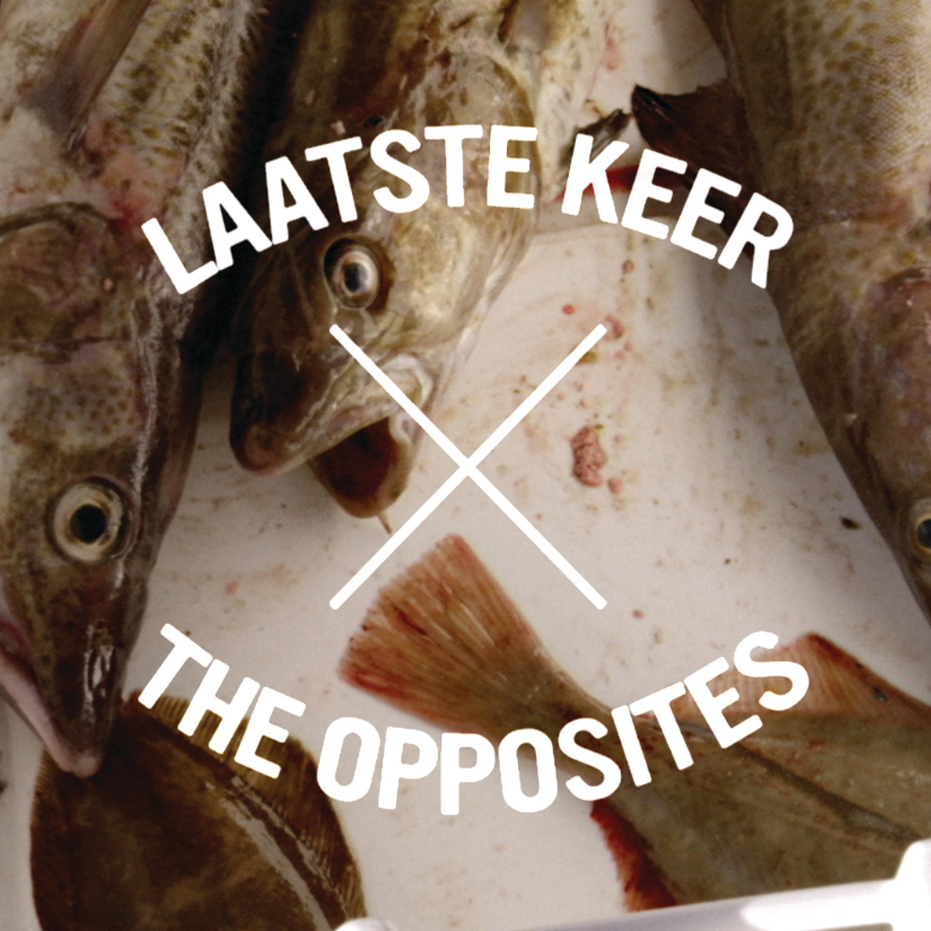 Постер альбома Laatste Keer