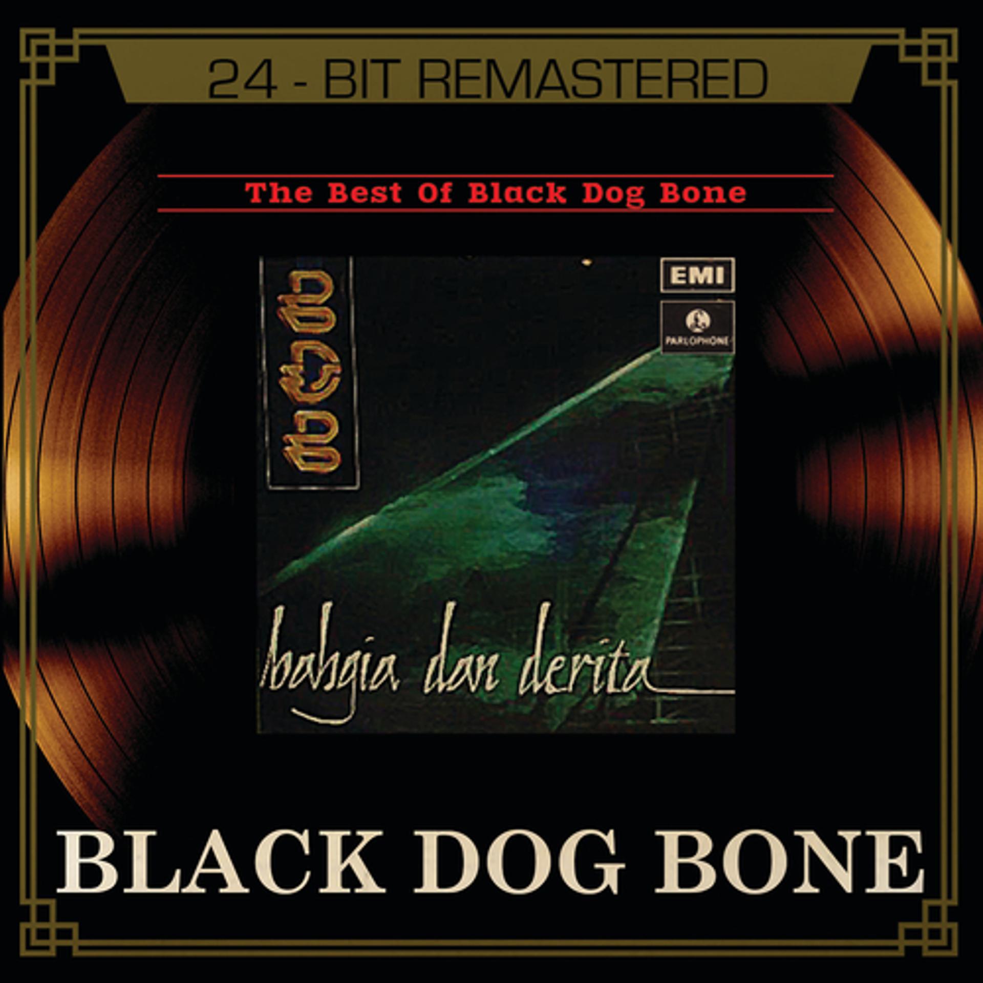 Постер альбома The Best Of Black Dog Bone