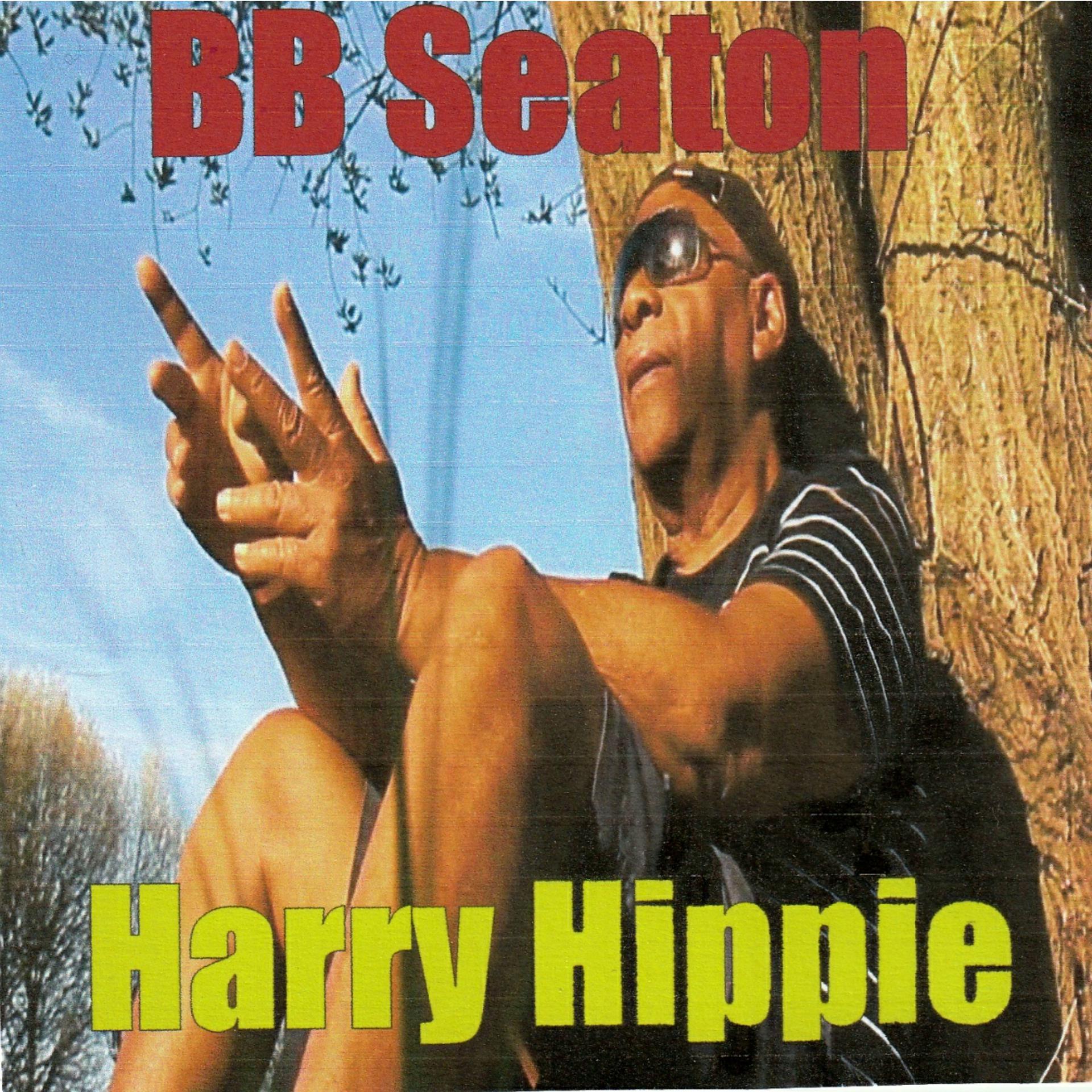 Постер альбома Harry Hippie