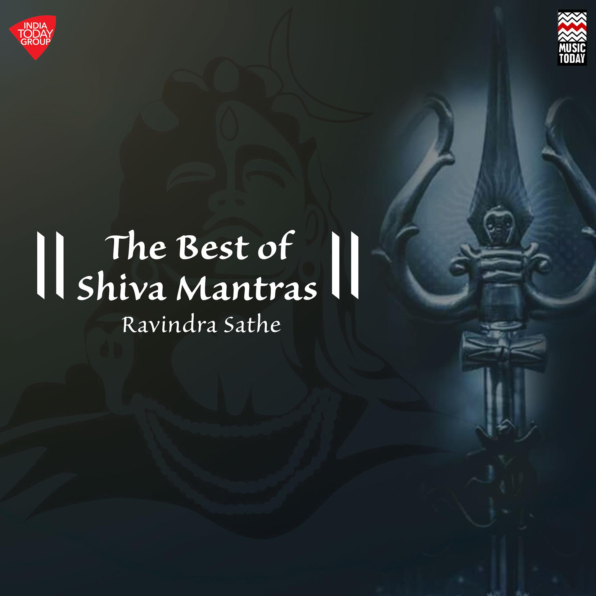 Постер альбома The Best of Shiva Mantras