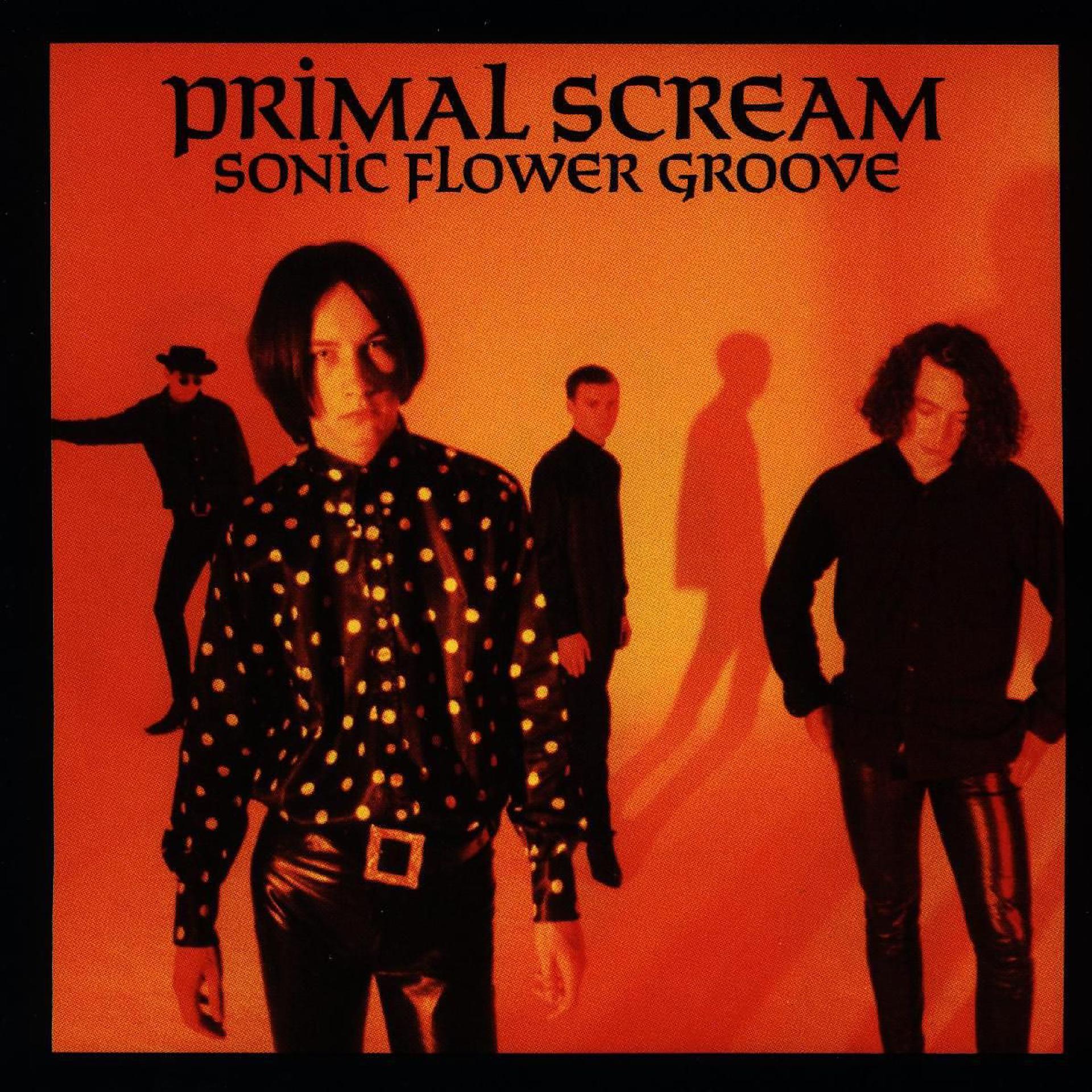 Постер альбома Sonic Flower Groove