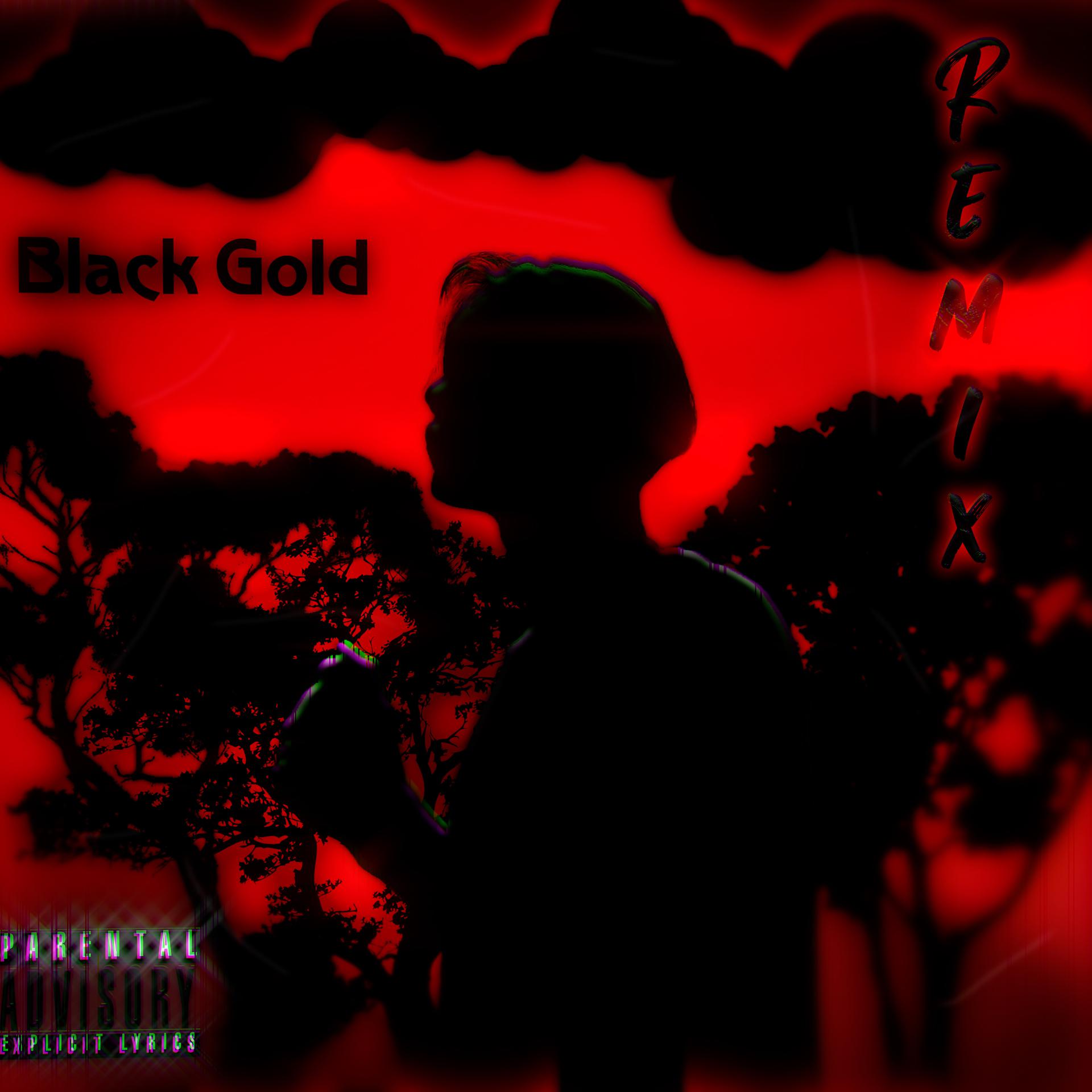 Постер альбома Black Gold