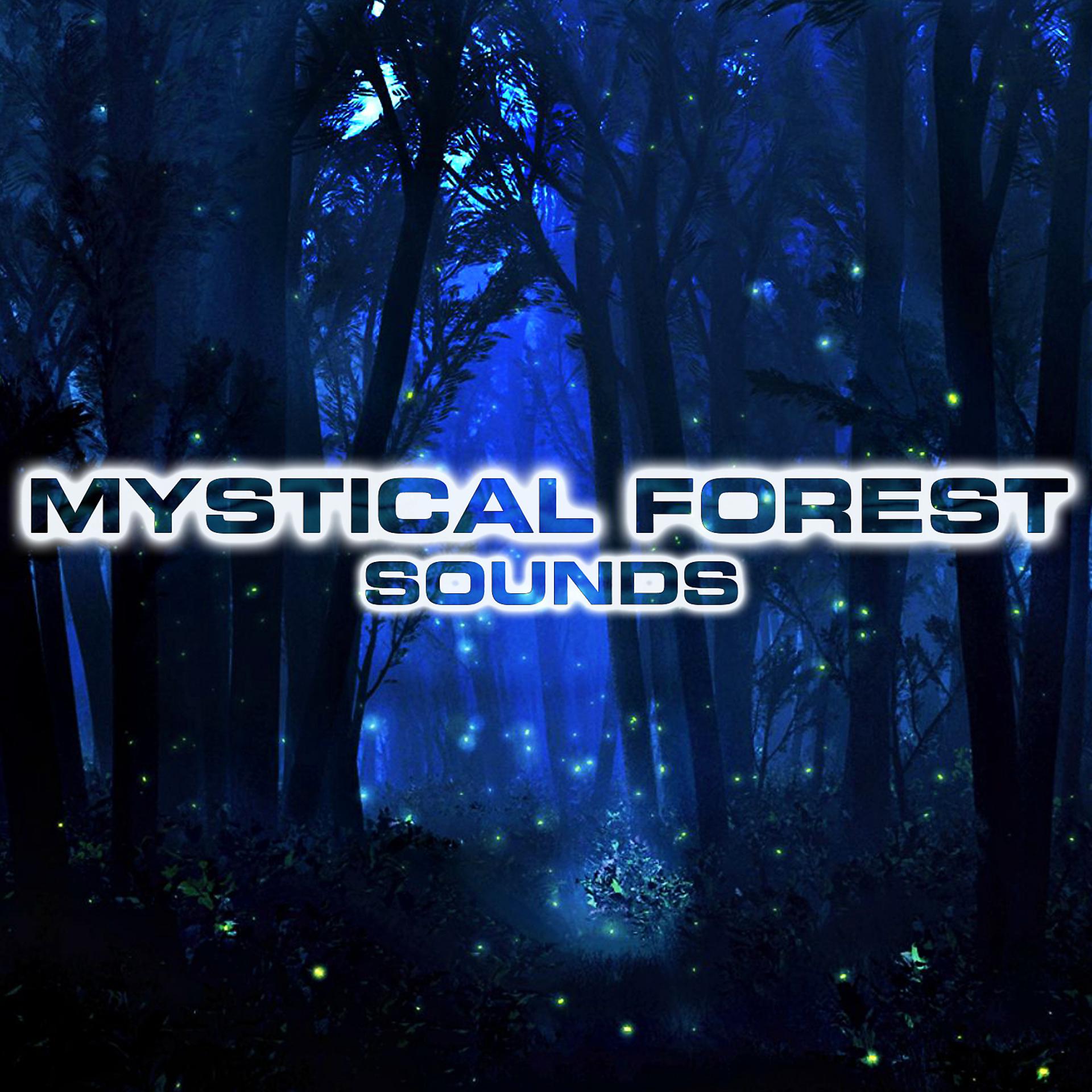 Постер альбома Mystical Forest Sounds (feat. White Noise Sounds For Sleep, National Geographic Soundscapes, Animals Sounds, White Noise Ambience, Soothing Sounds & Soothing Baby Sounds)