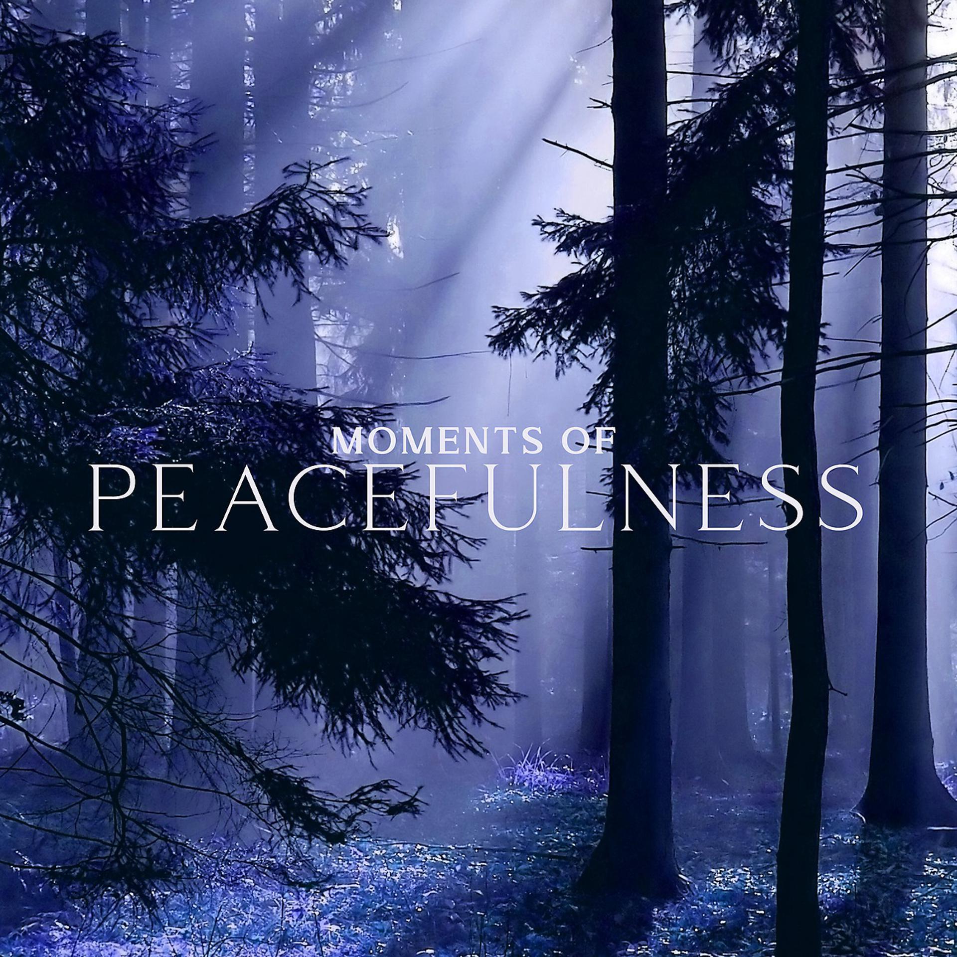 Постер альбома Moments of Peacefulness