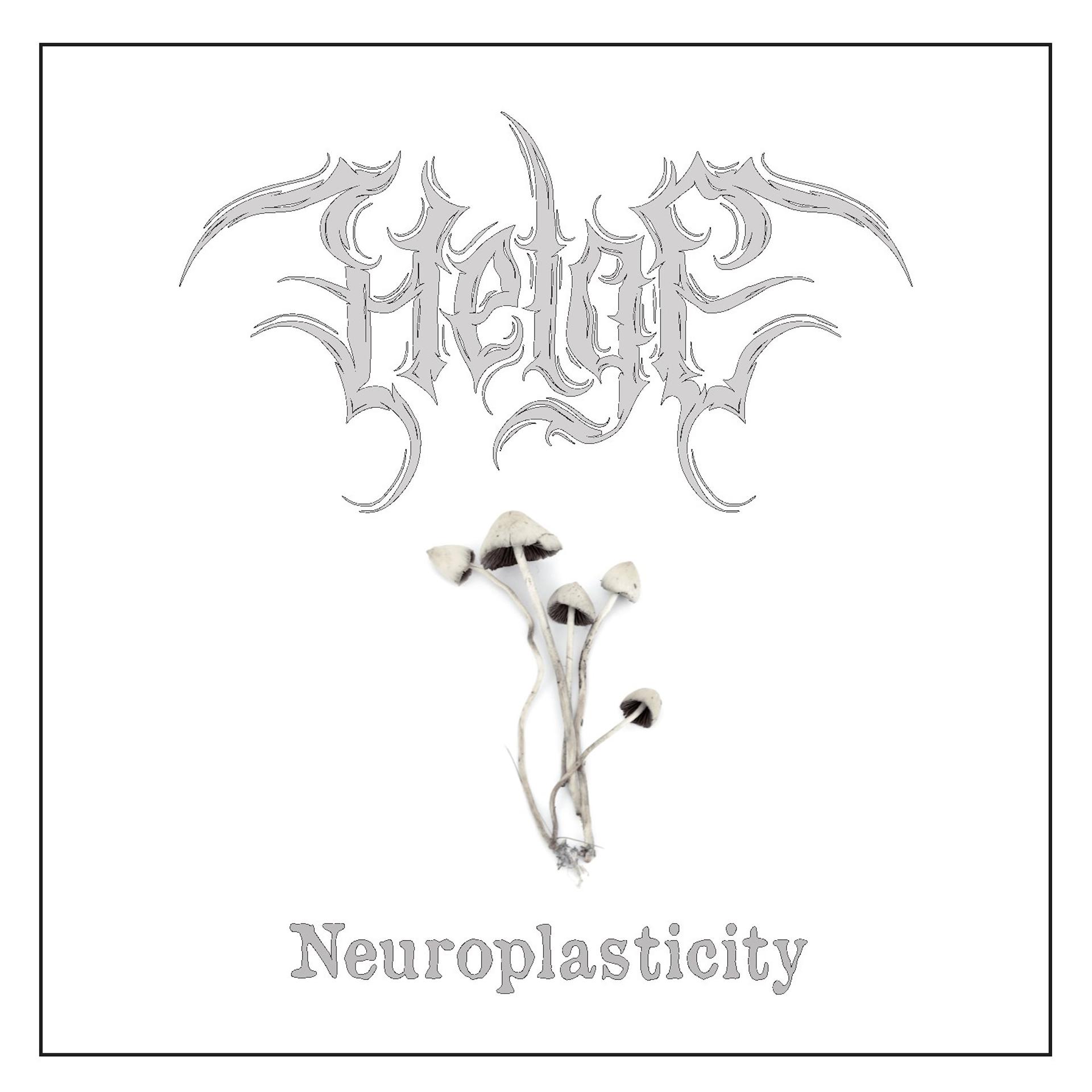 Постер альбома Neuroplasticity