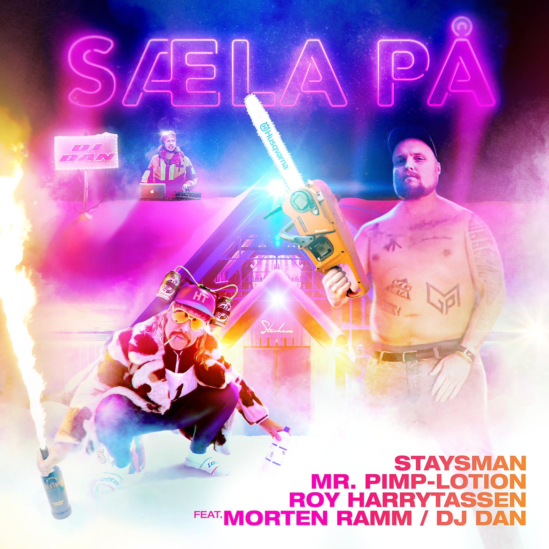 Постер альбома Sæla På