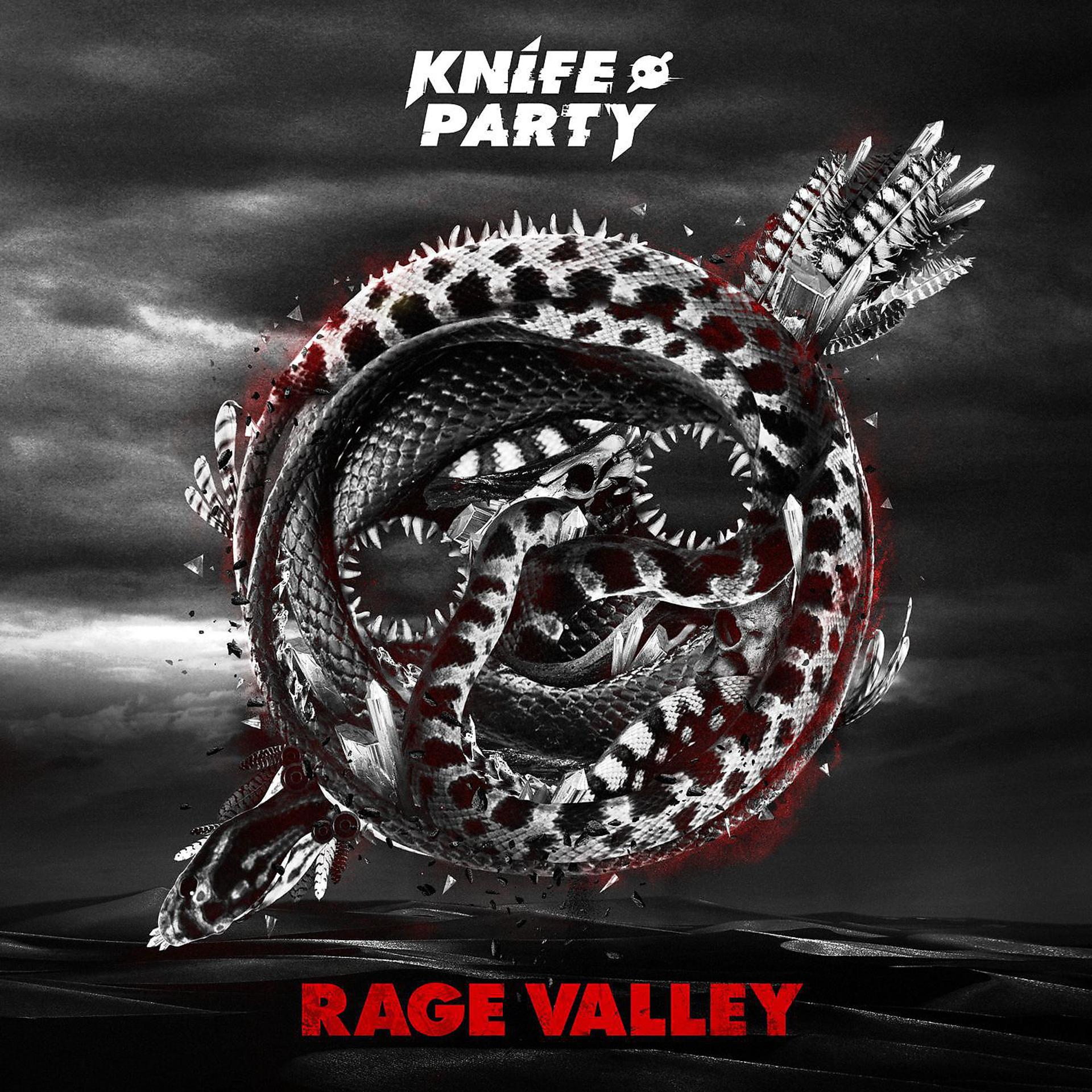 Постер альбома Rage Valley