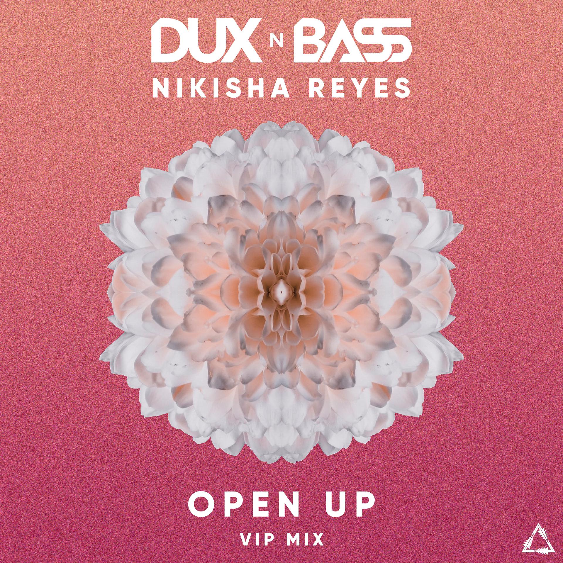 Постер альбома Open Up (Vip Mix)
