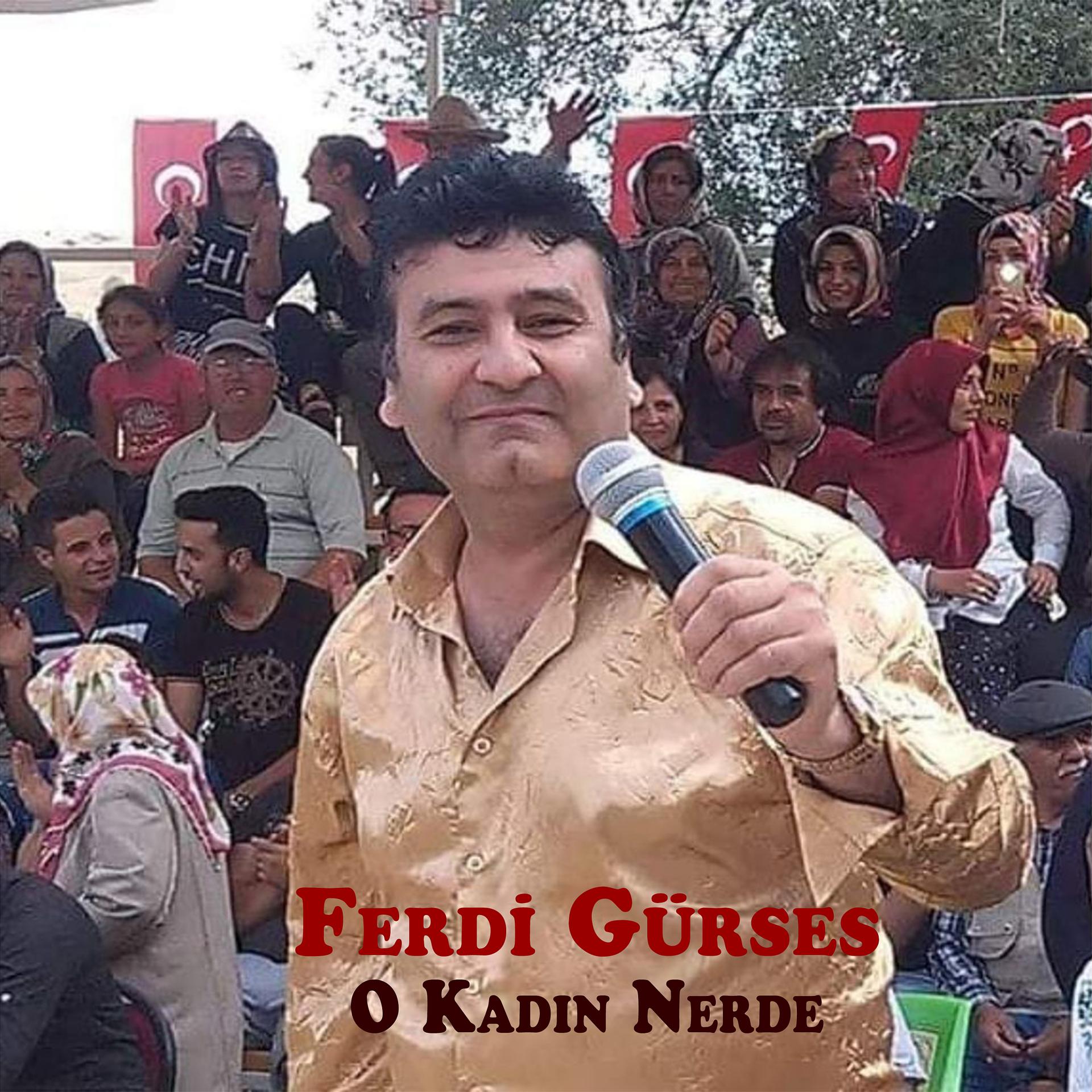 Постер альбома O Kadın Nerde