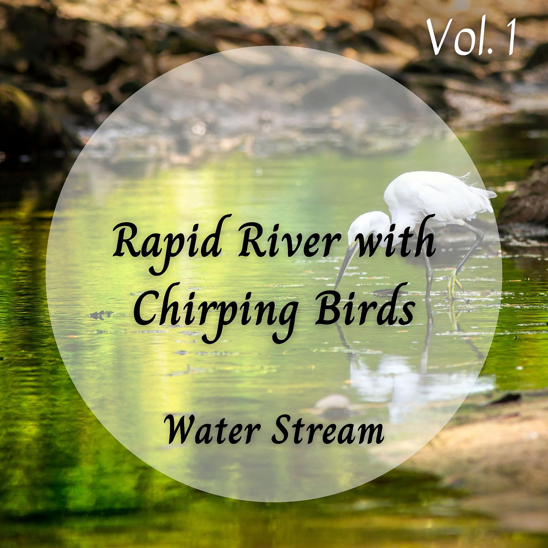 Постер альбома Water Stream: Rapid River with Chirping Birds Vol. 1
