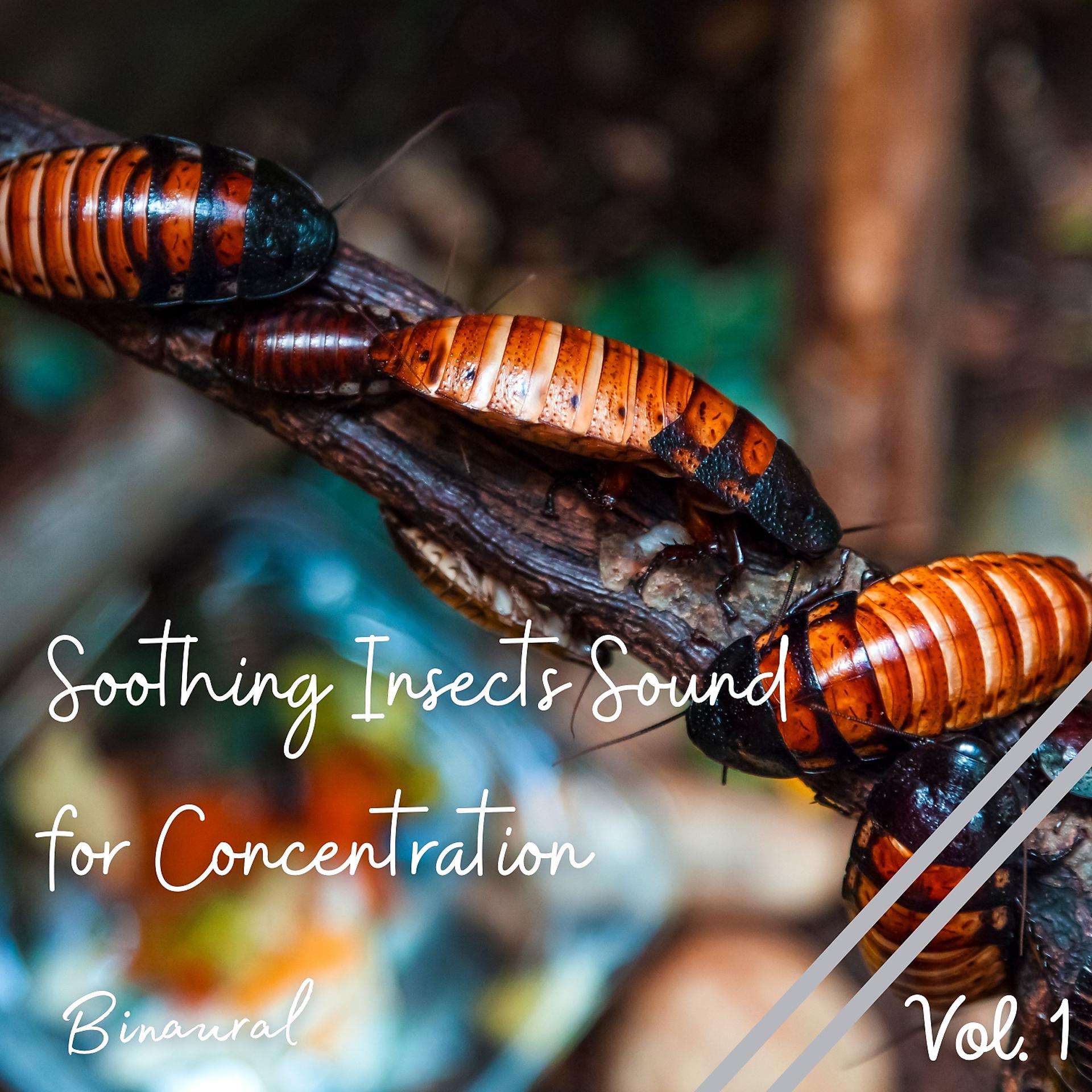 Постер альбома Binaural: Soothing Insects Sound for Concentration Vol. 1