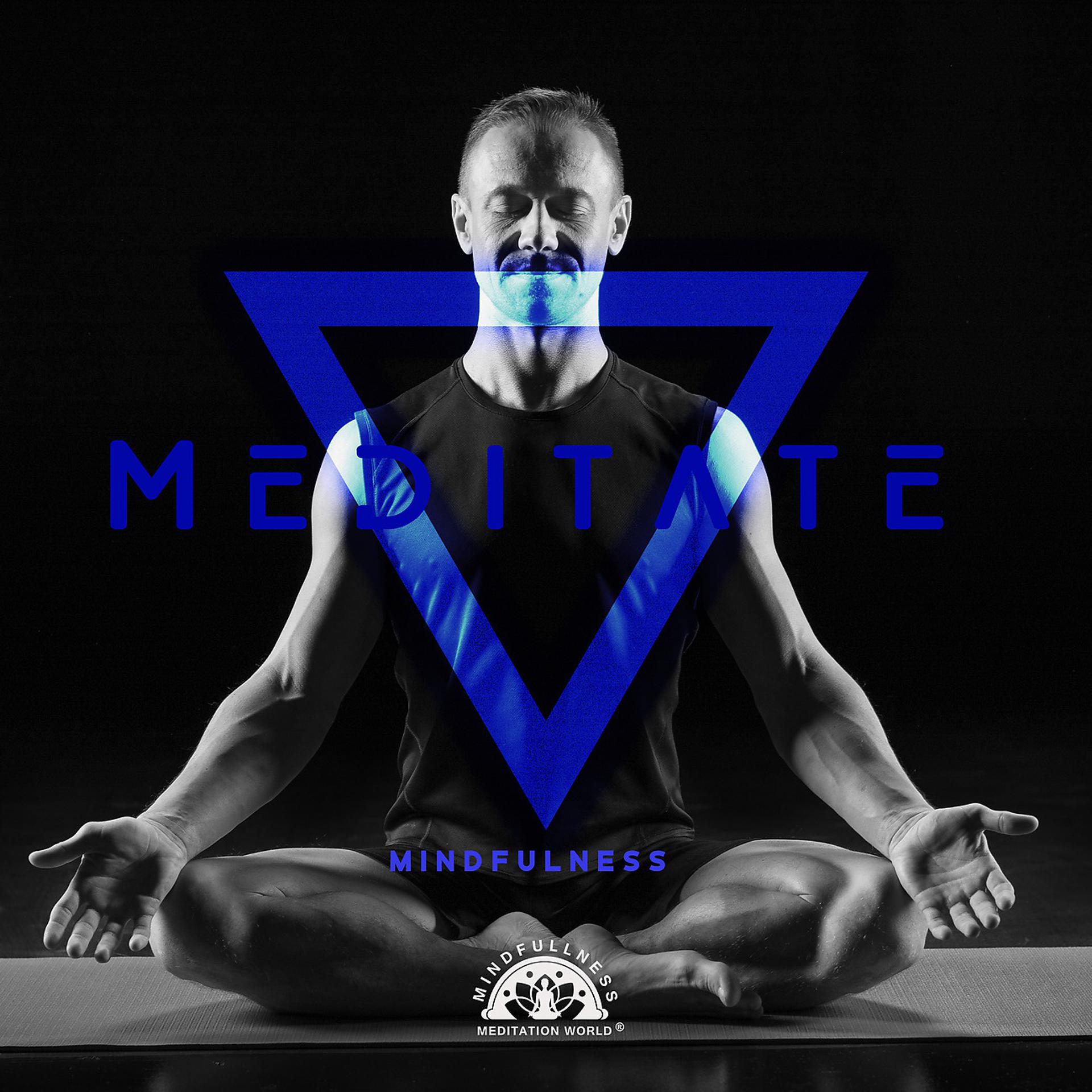 Постер альбома Meditate Mindfulness