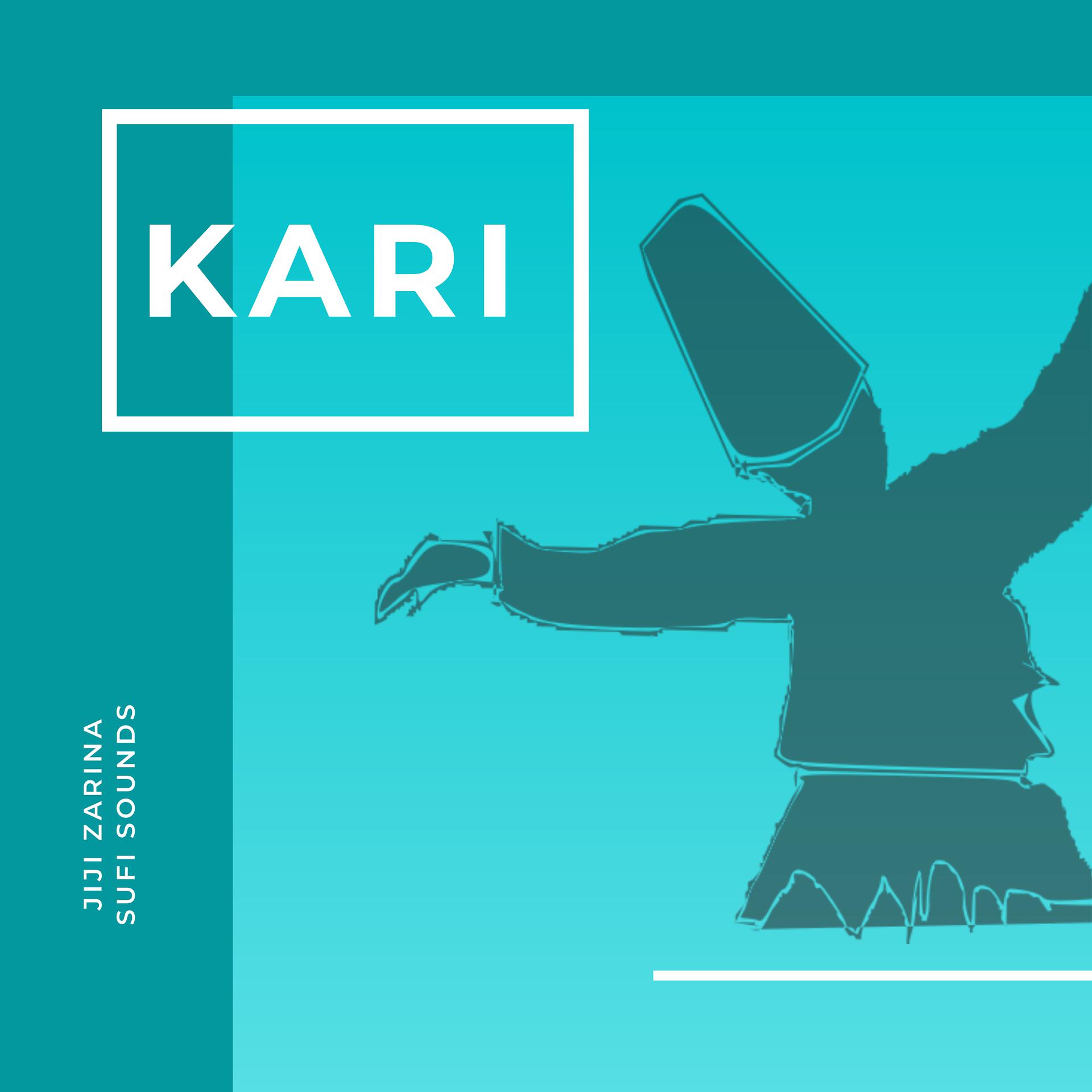 Постер альбома Kari