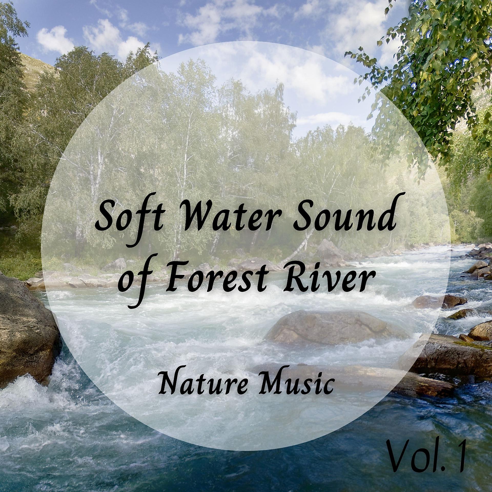 Постер альбома Nature Music: Soft Water Sound of Forest River Vol. 1