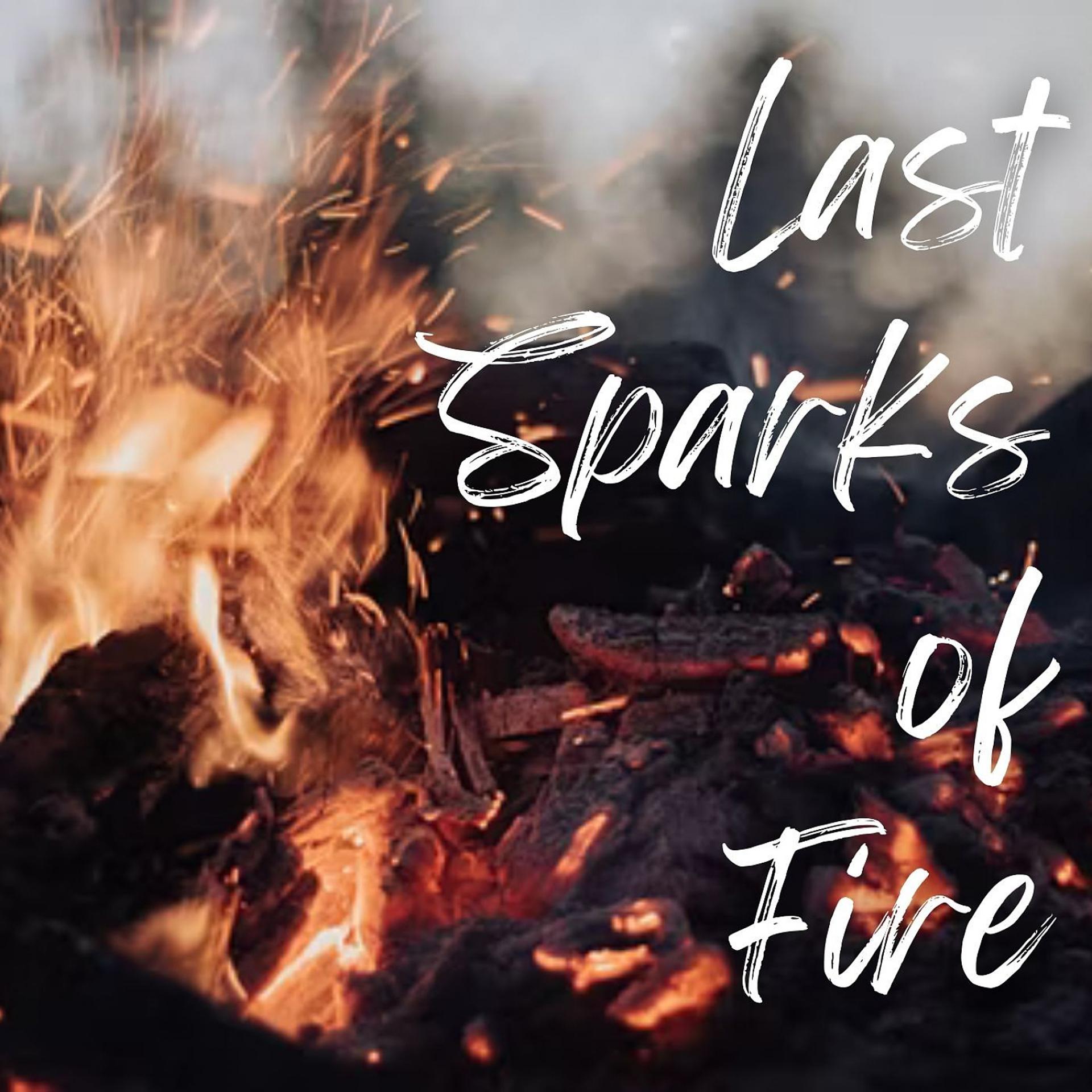 Постер альбома Last Sparks of Fire