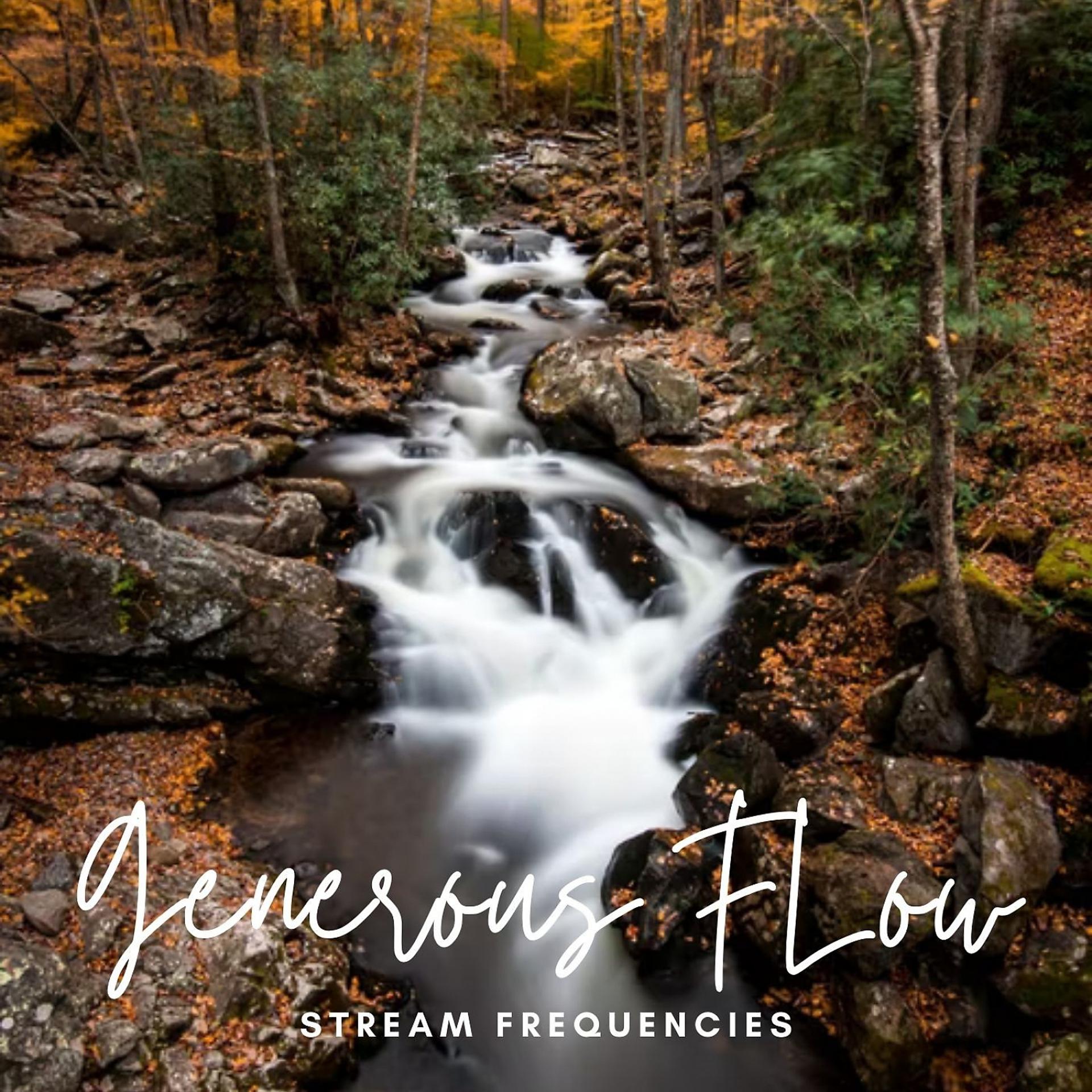 Постер альбома Stream Frequencies: Generous Flow