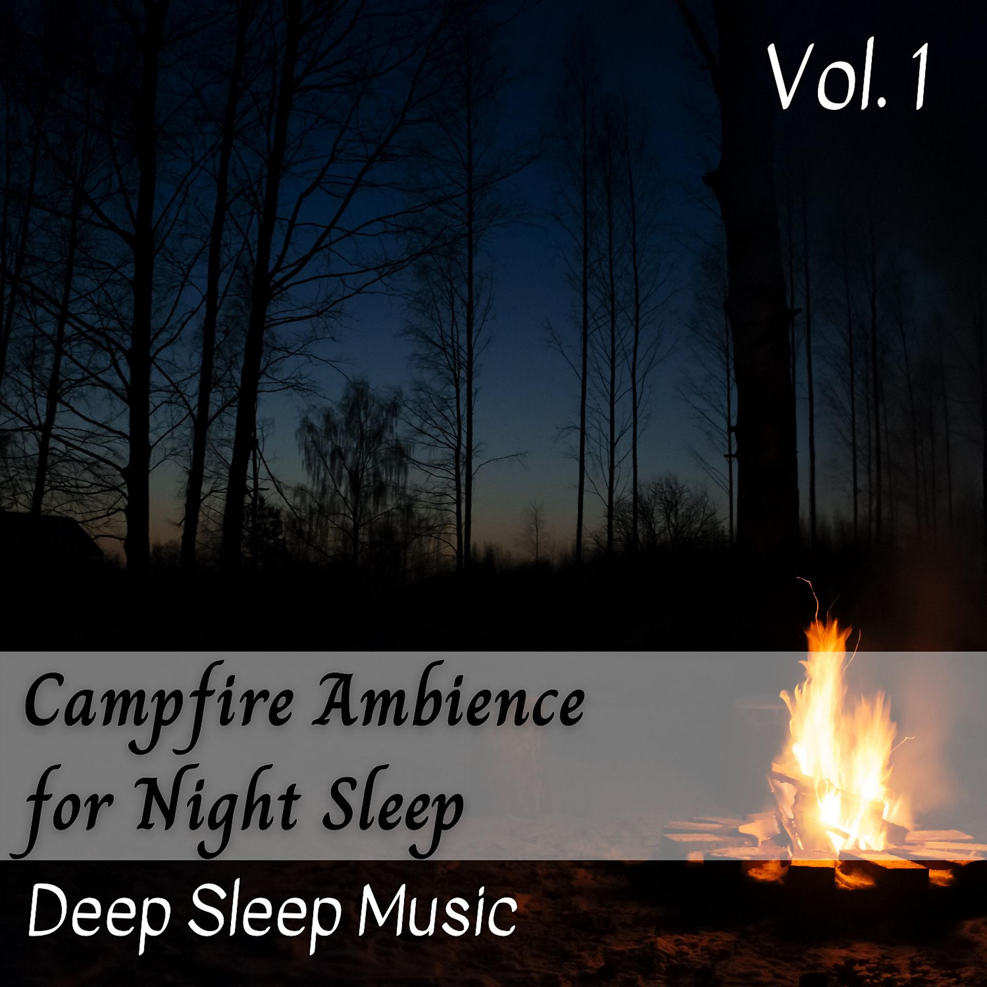 Постер альбома Deep Sleep Music: Campfire Ambience for Night Sleep Vol. 1