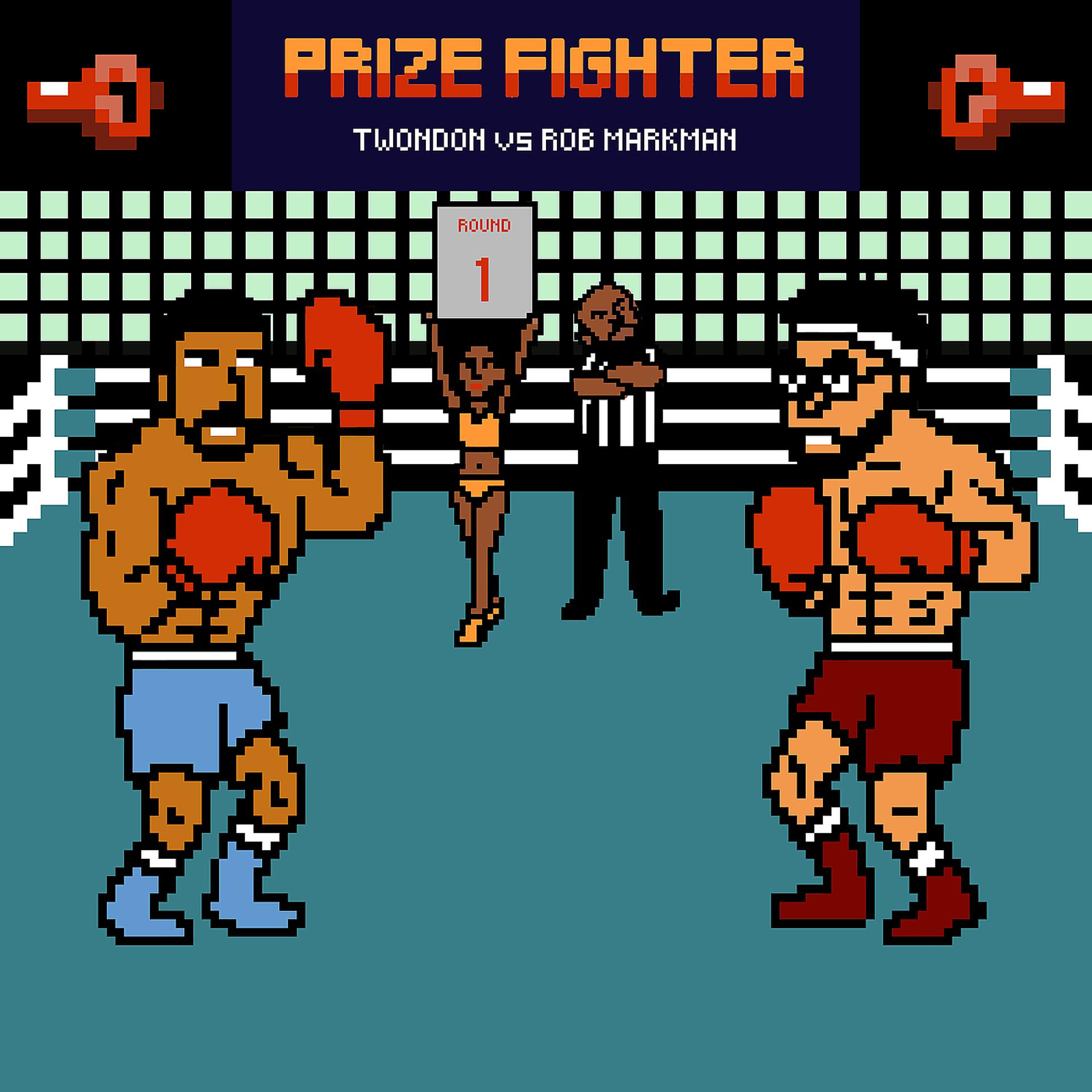 Постер альбома Prize Fighter