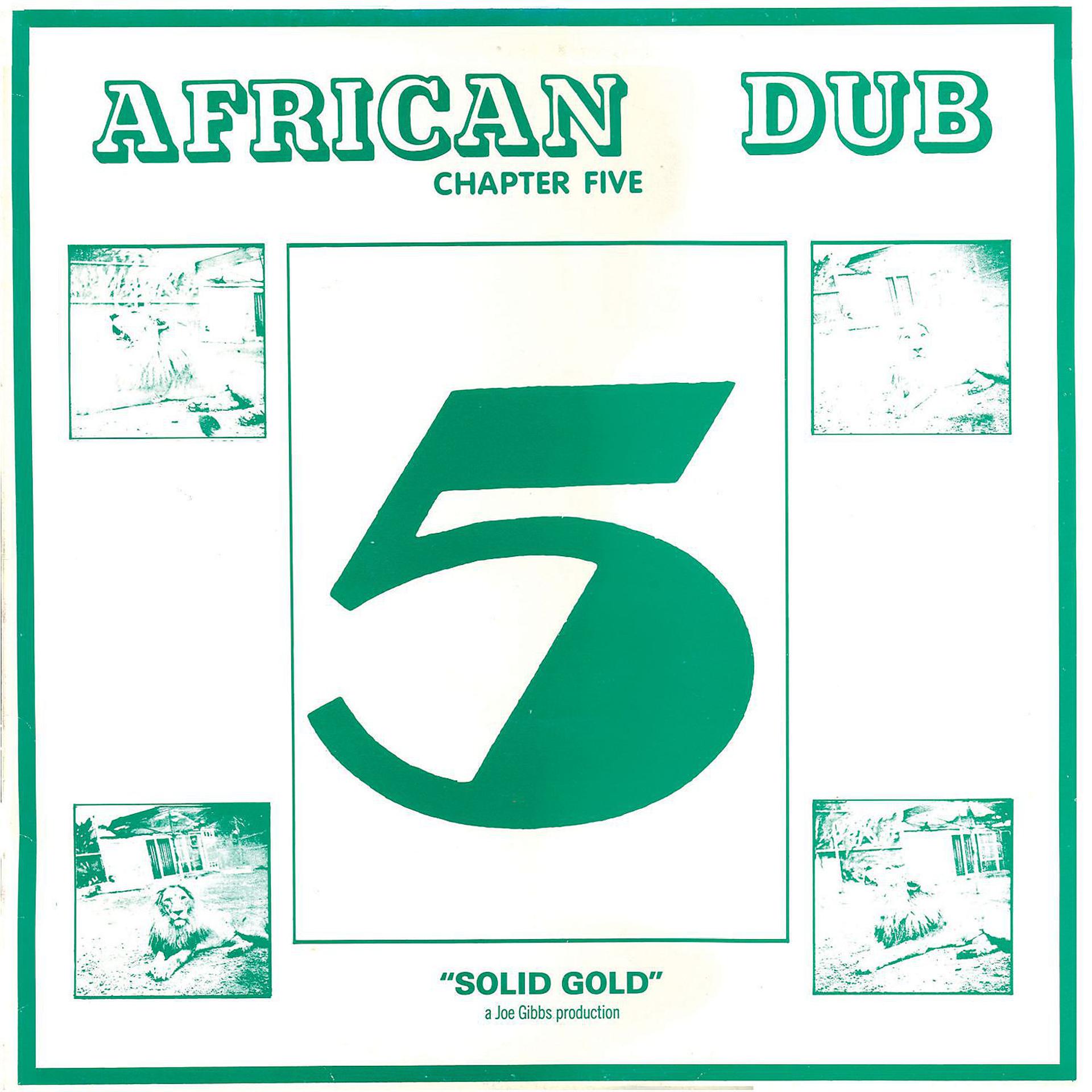 Постер альбома African Dub Chapter 5