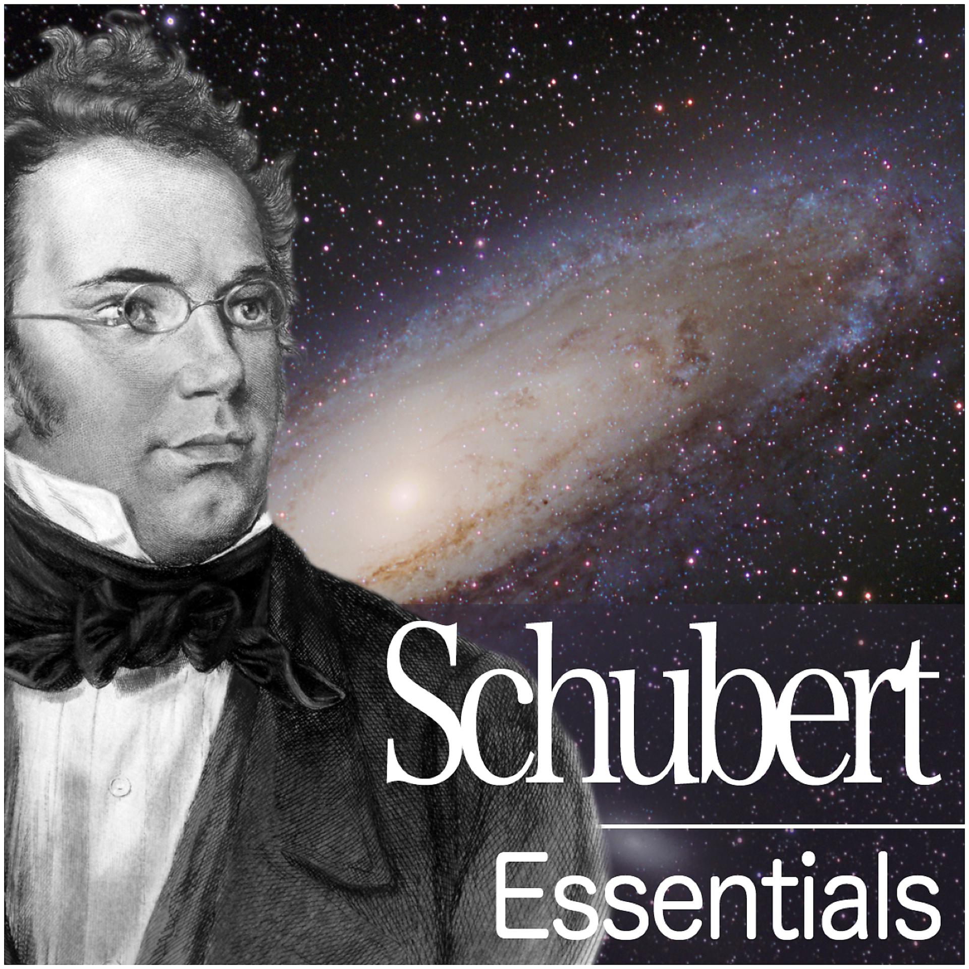Постер альбома Schubert Essentials