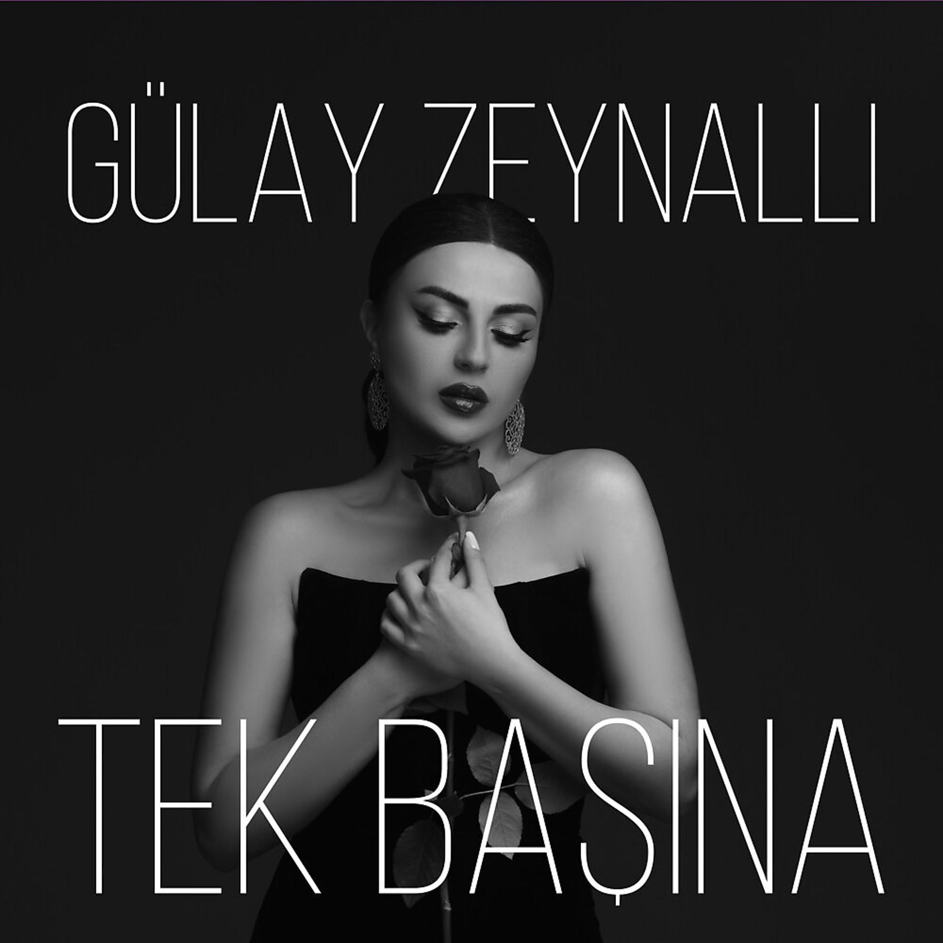 Постер альбома Tek Başına