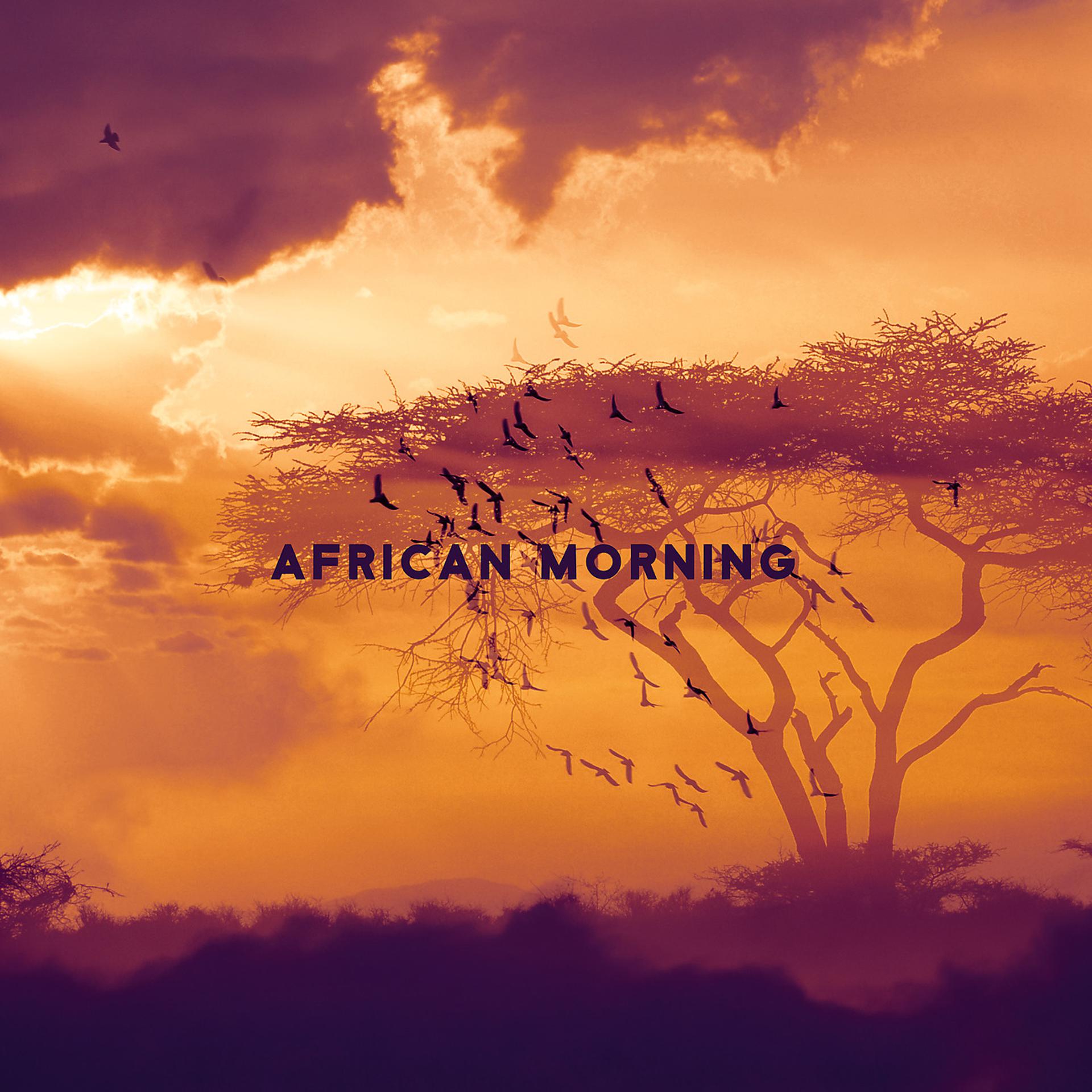 Постер альбома African Morning