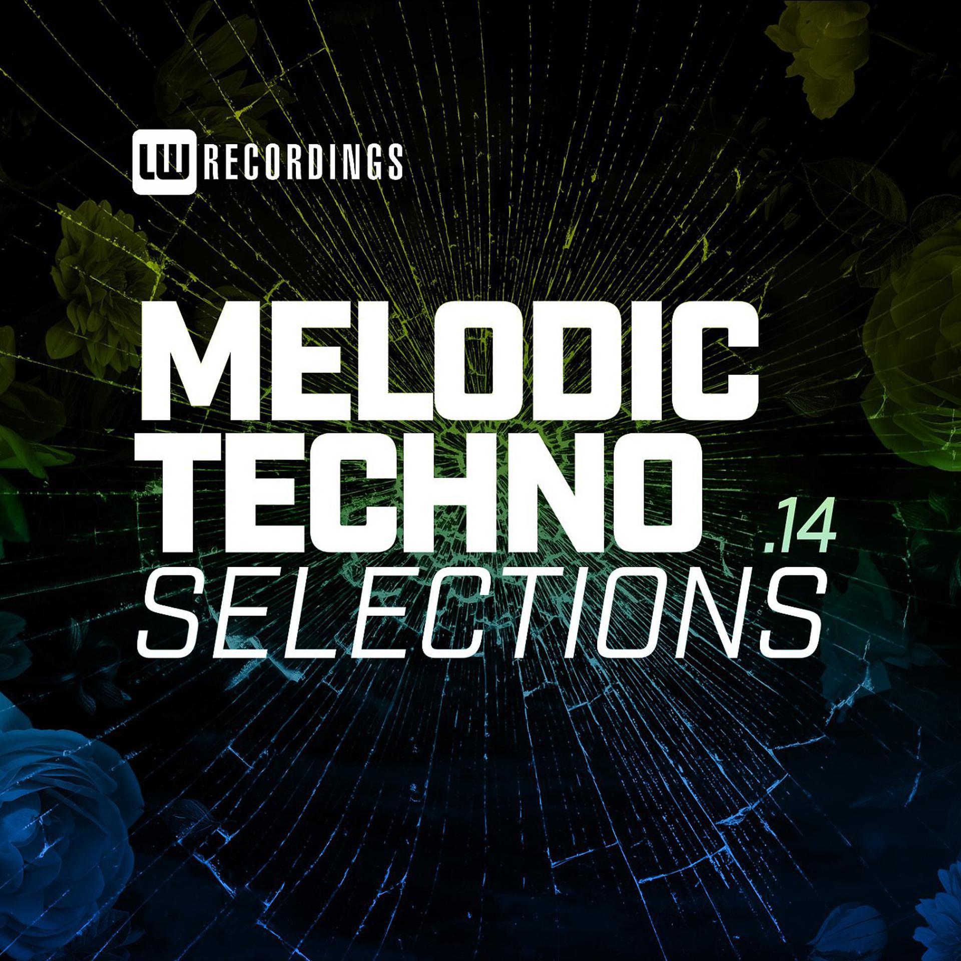 Постер альбома Melodic Techno Selections, Vol. 14