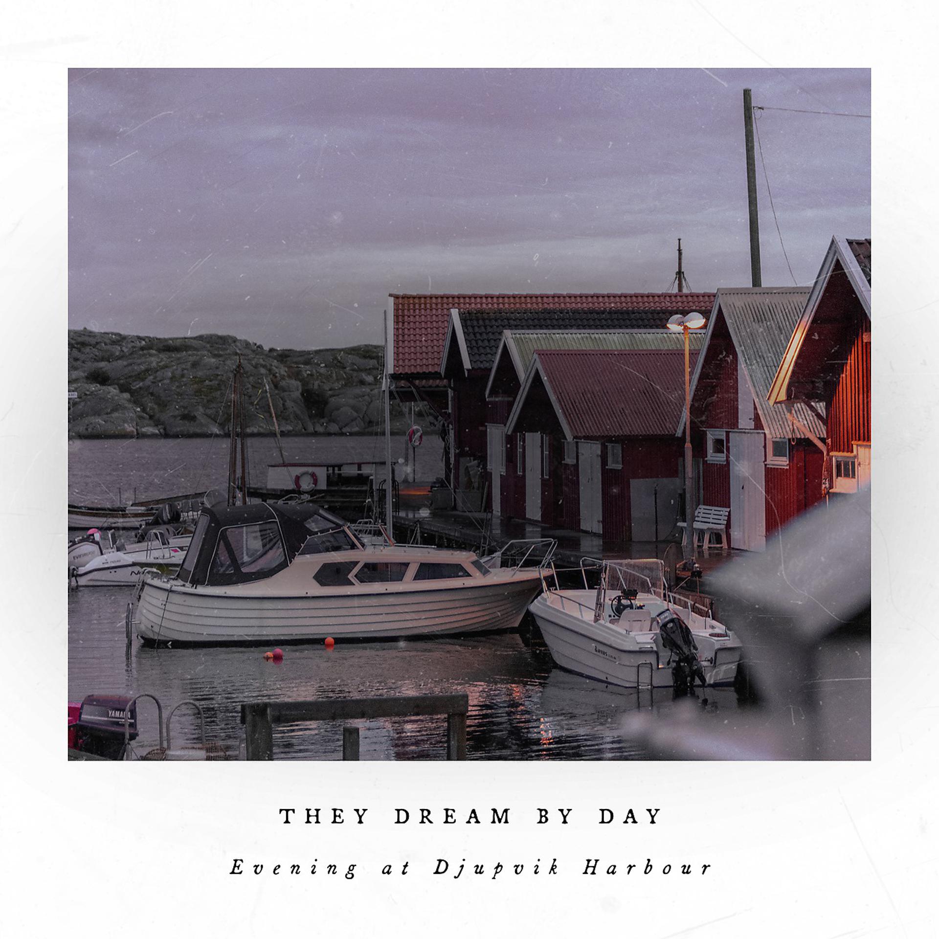 Постер альбома Evening at Djupvik Harbour