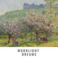 Постер альбома Moonlight Dreams
