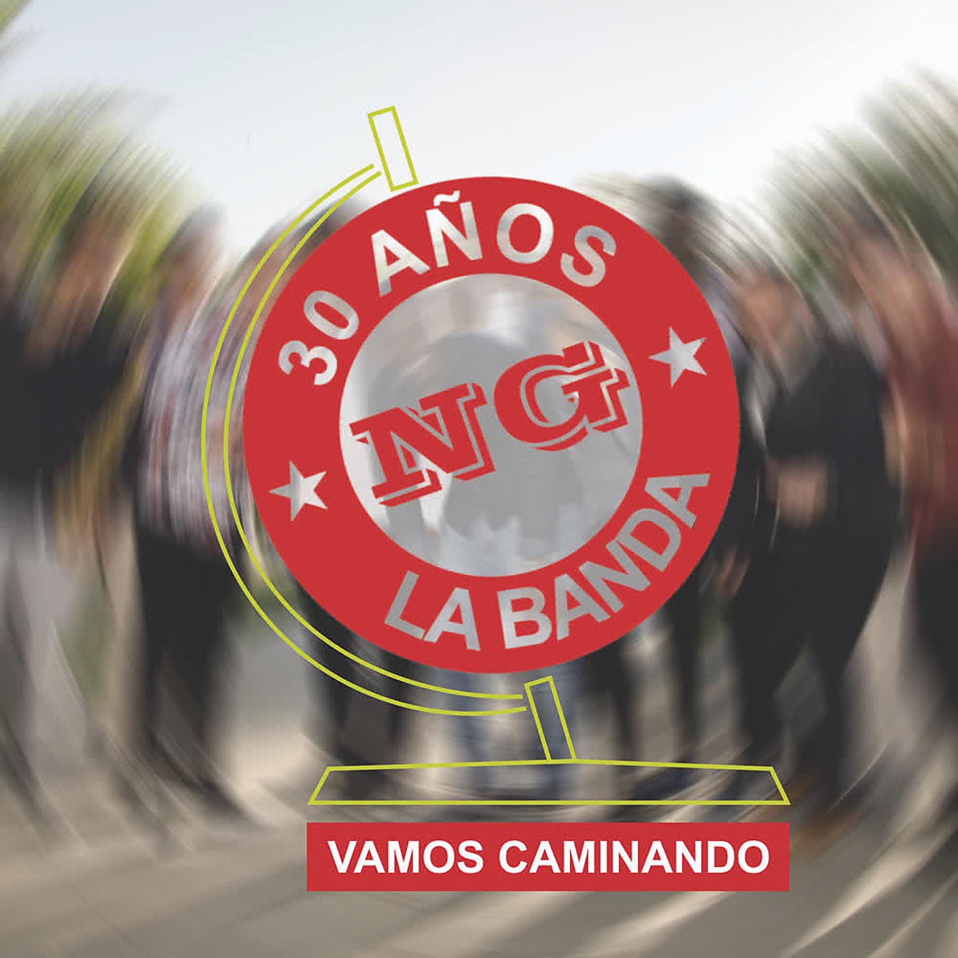 Постер альбома Vamos Caminando