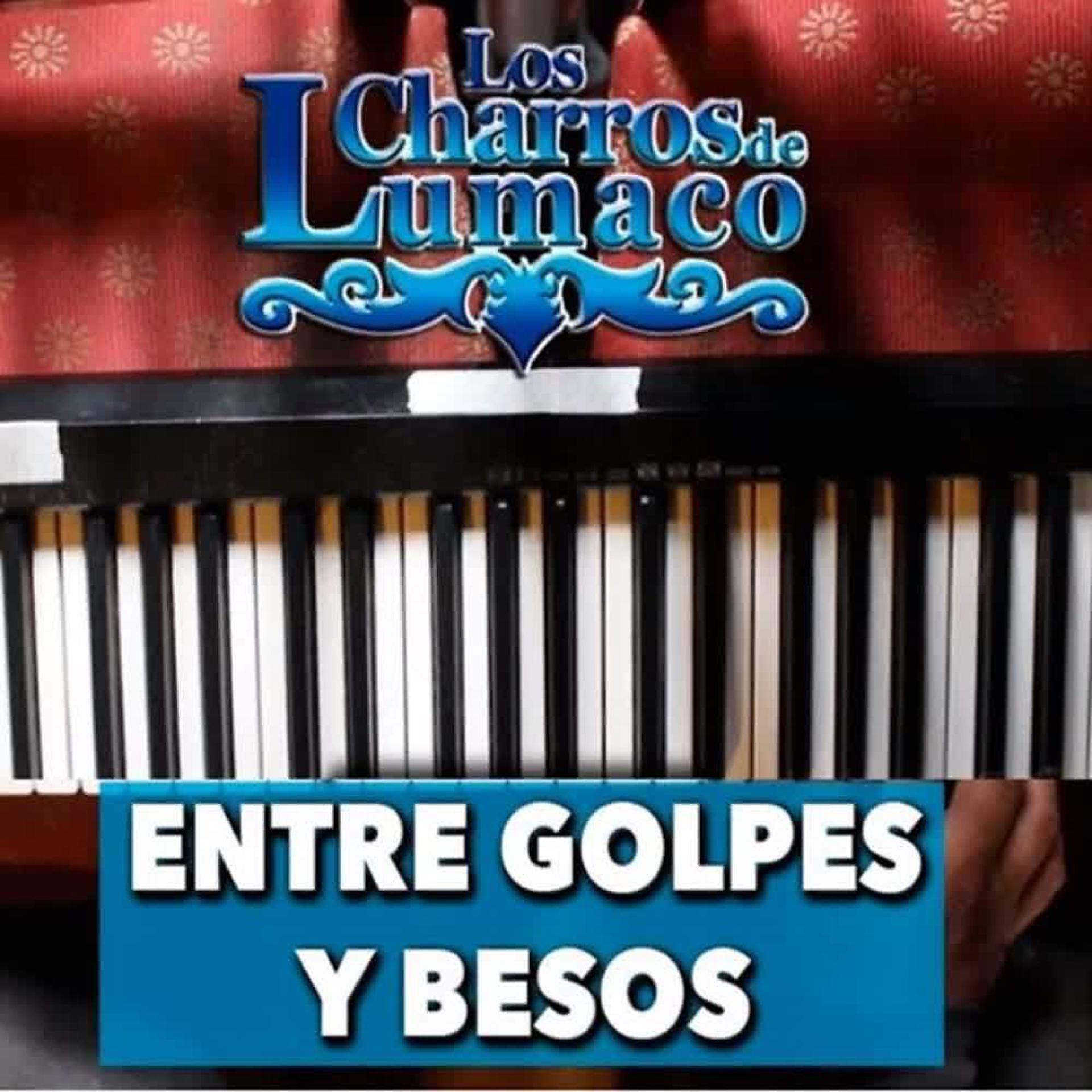 Постер альбома Entre Golpes y Besos