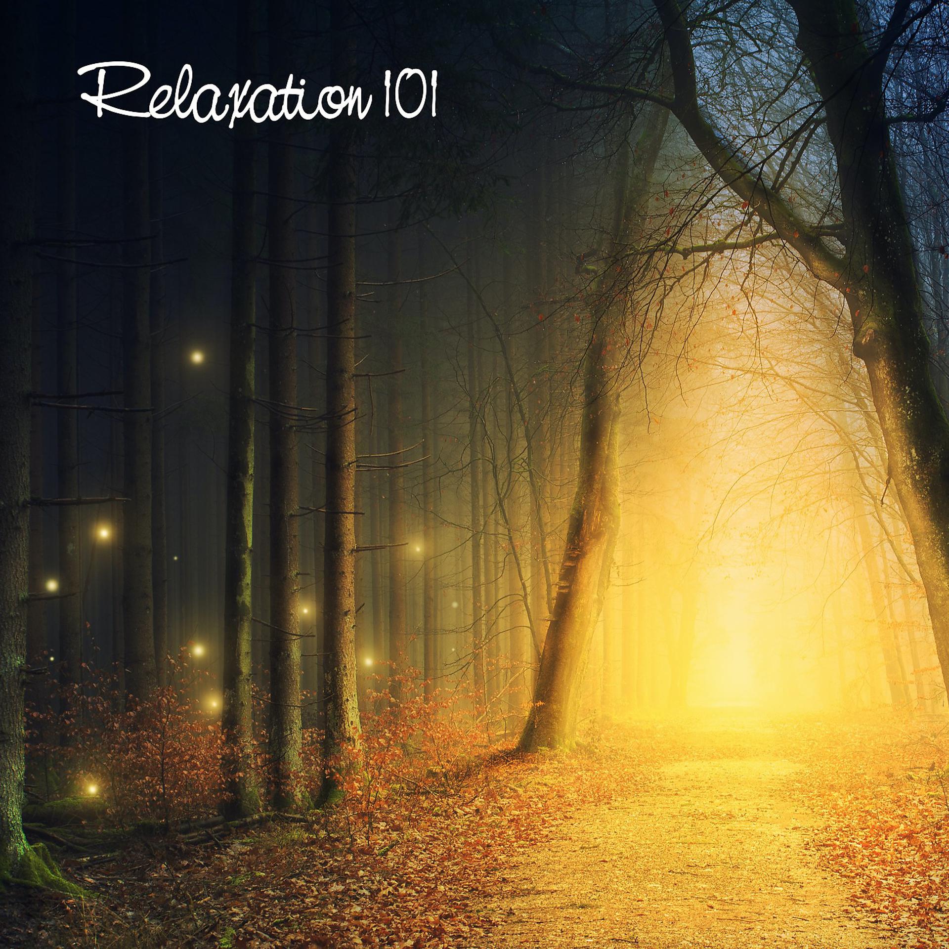Постер альбома Relaxation 101