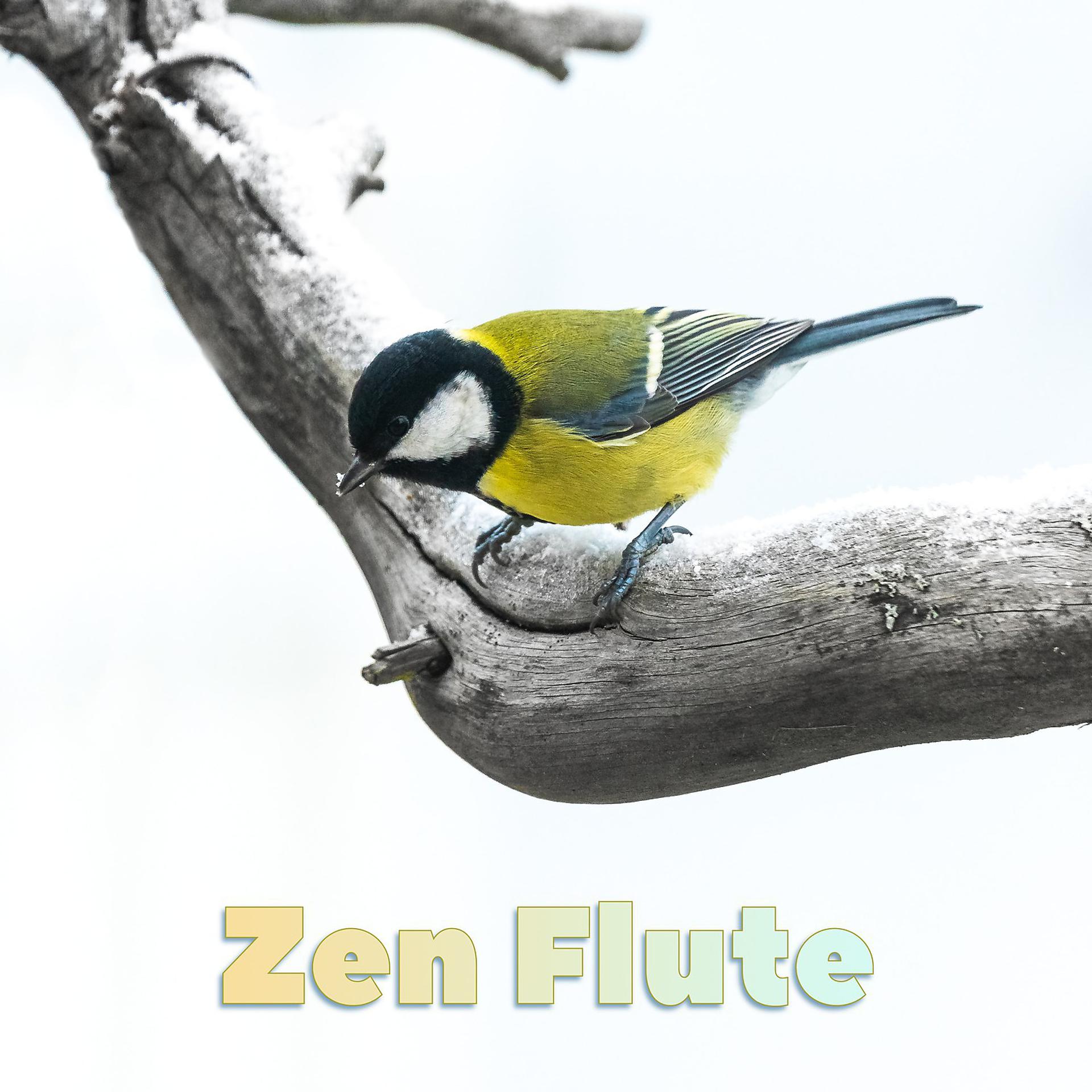 Постер альбома Zen Flute