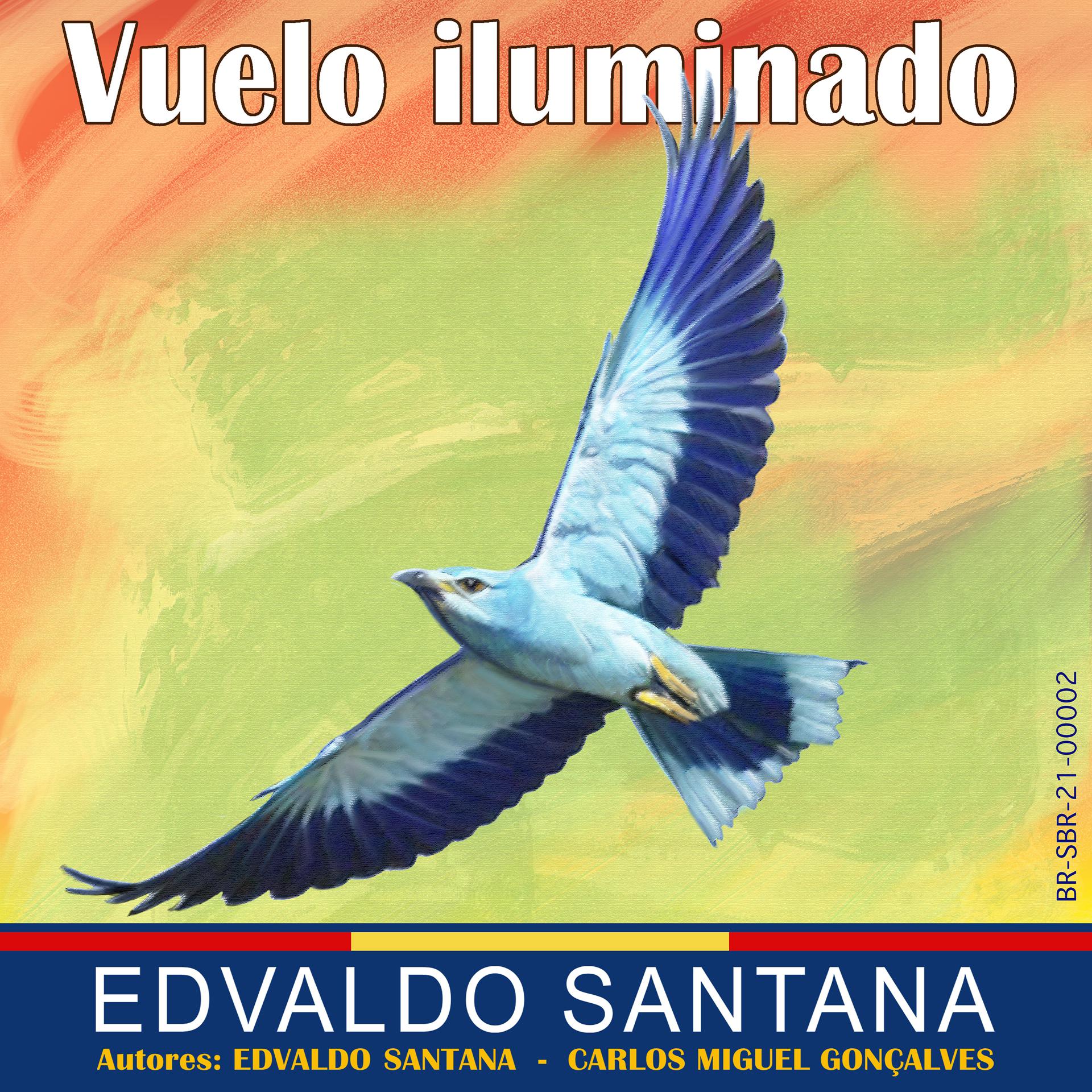 Постер альбома Vuelo Iluminado