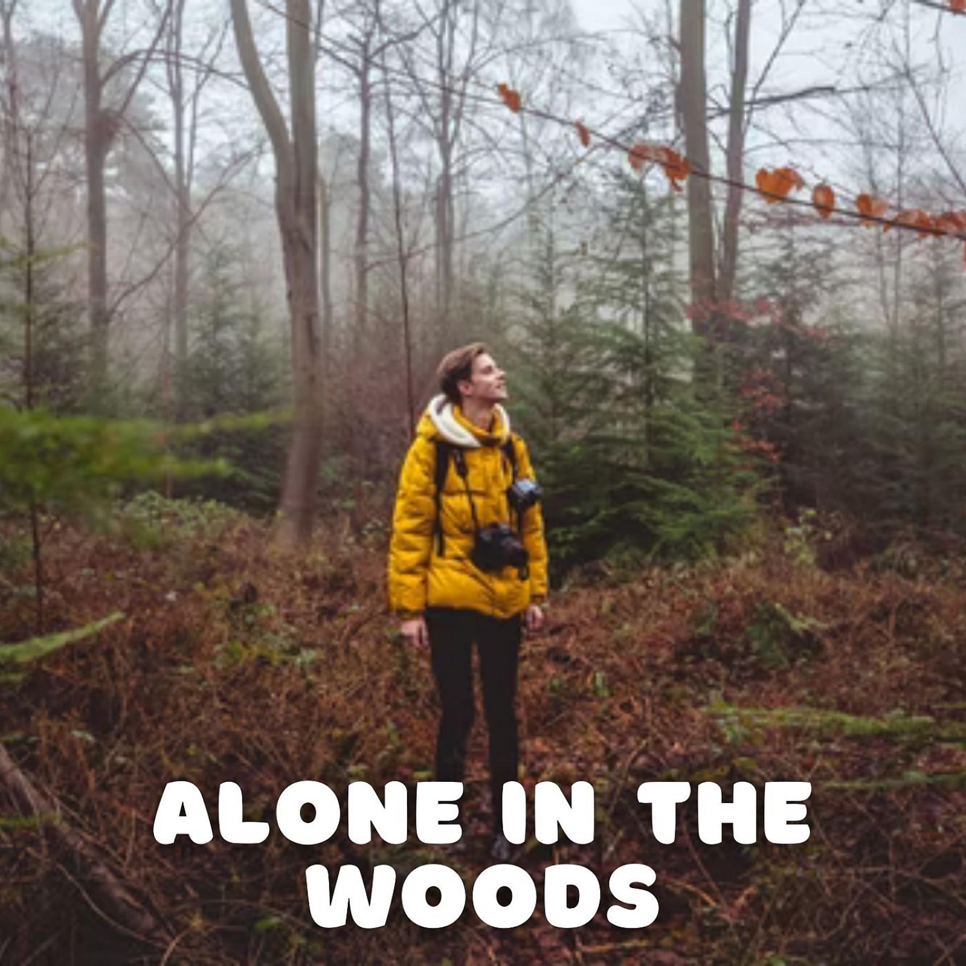 Постер альбома Alone in the Woods - 1 Hour