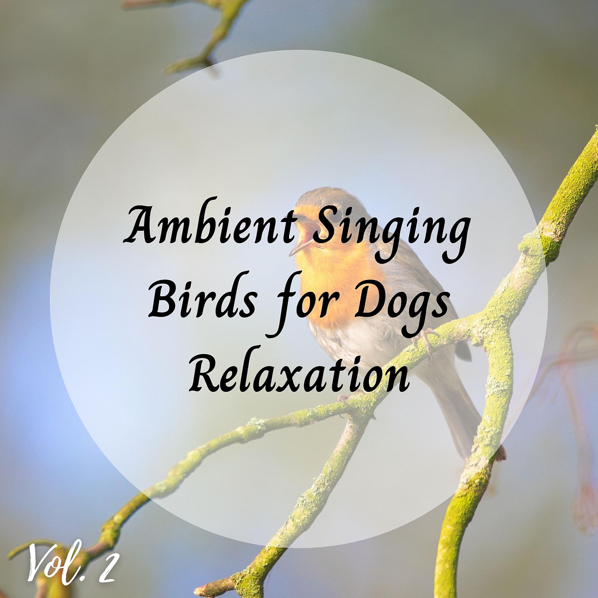Постер альбома Ambient Singing Birds for Dogs Relaxation Vol. 2