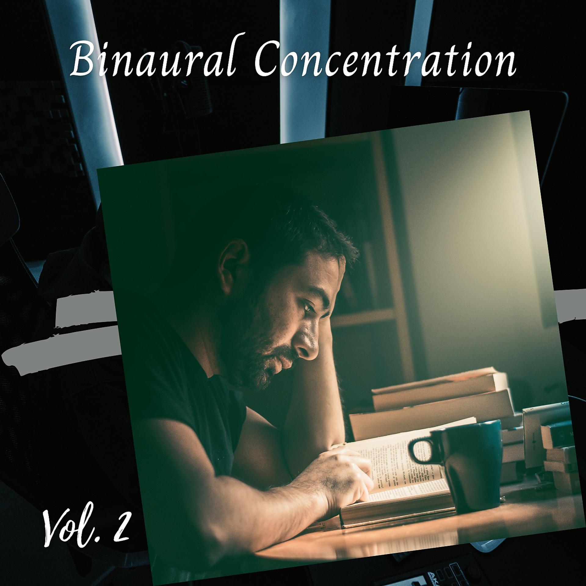 Постер альбома Binaural Concentration Vol. 2