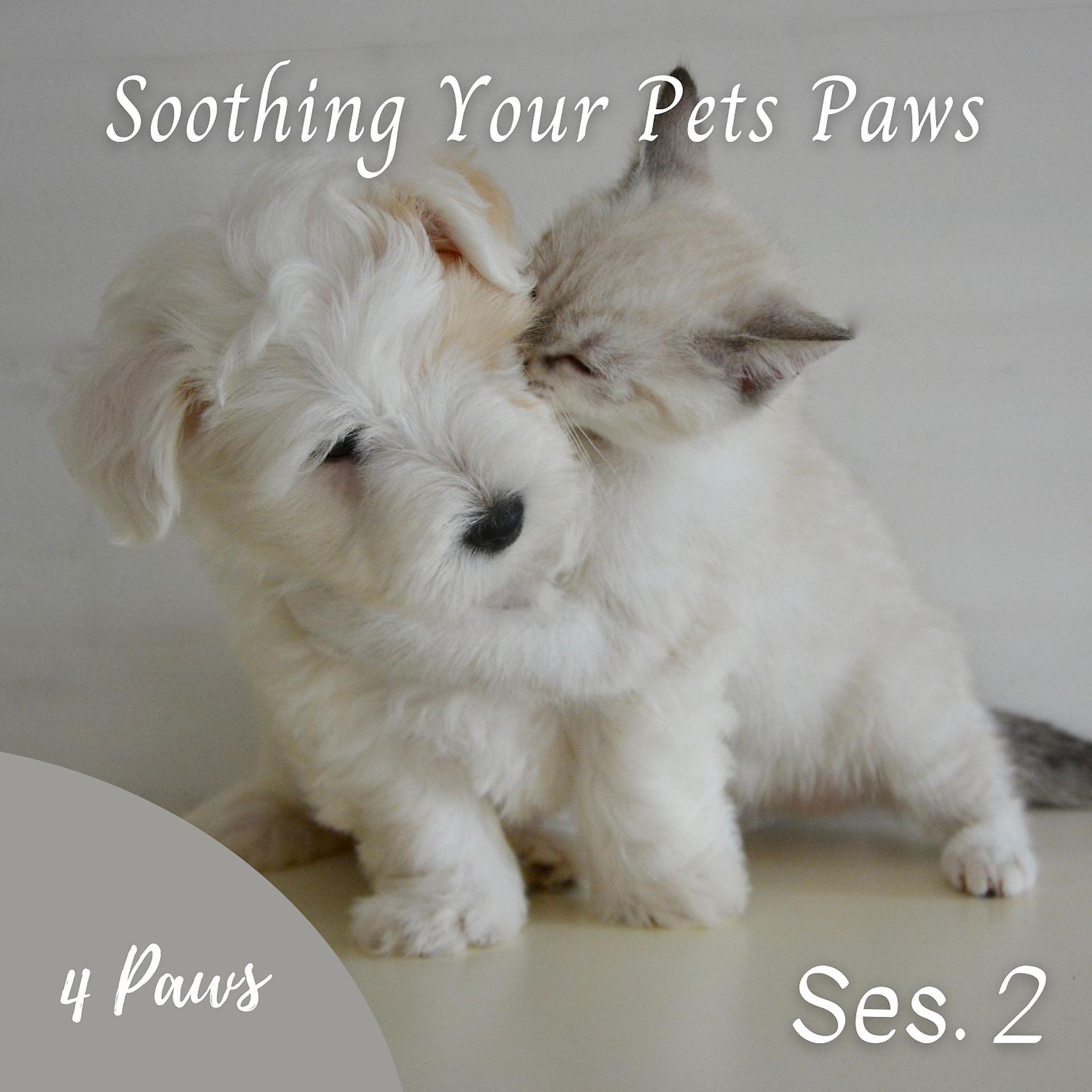 Постер альбома Soothing Your Pets Paws Ses. 2