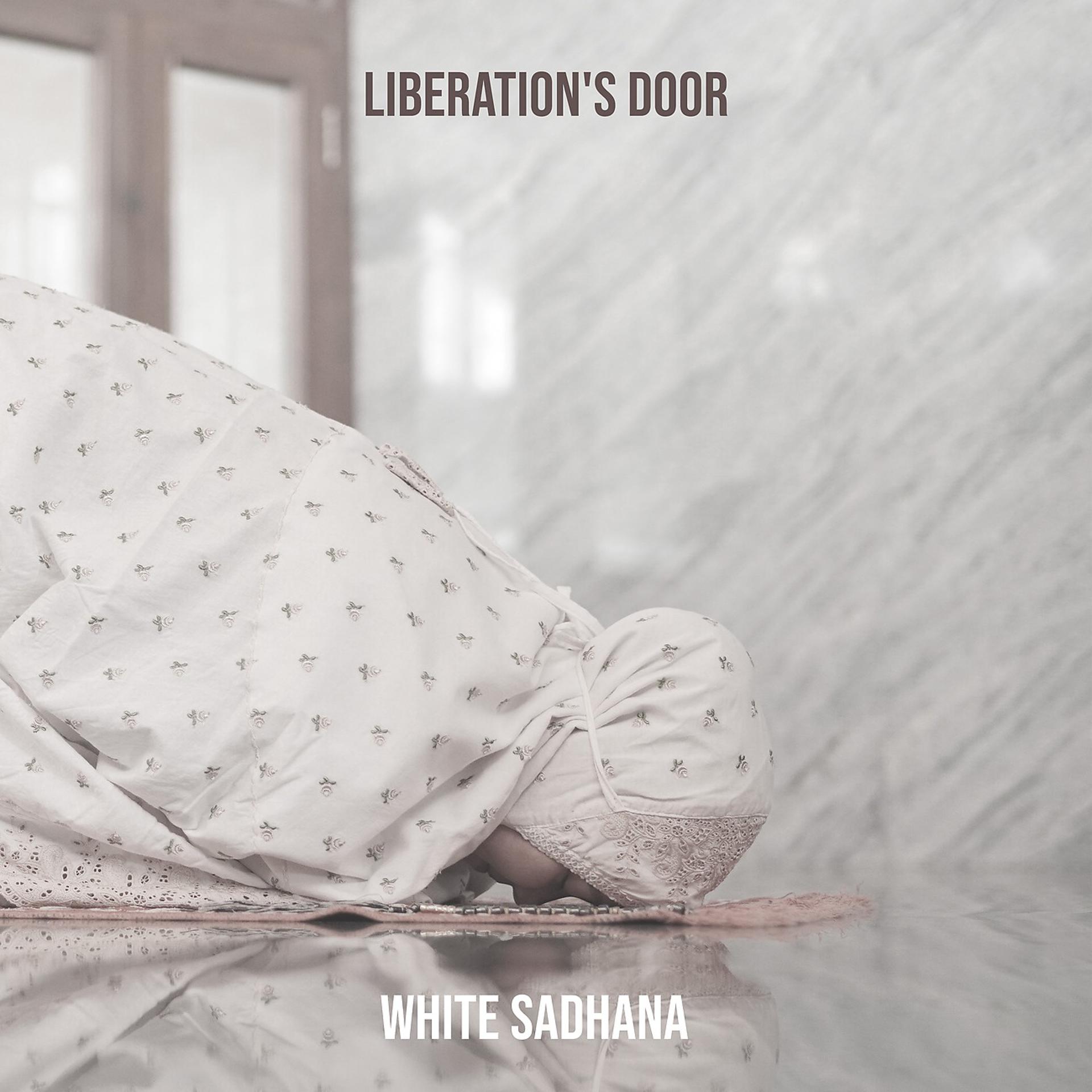 Постер альбома Liberation's Door