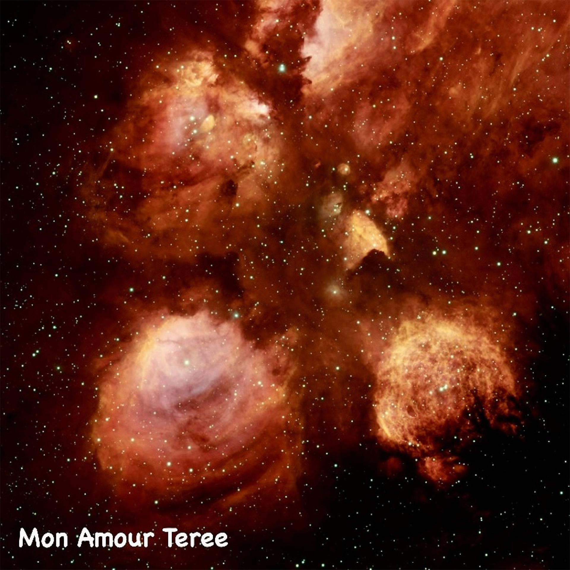 Постер альбома Mon Amour Teree