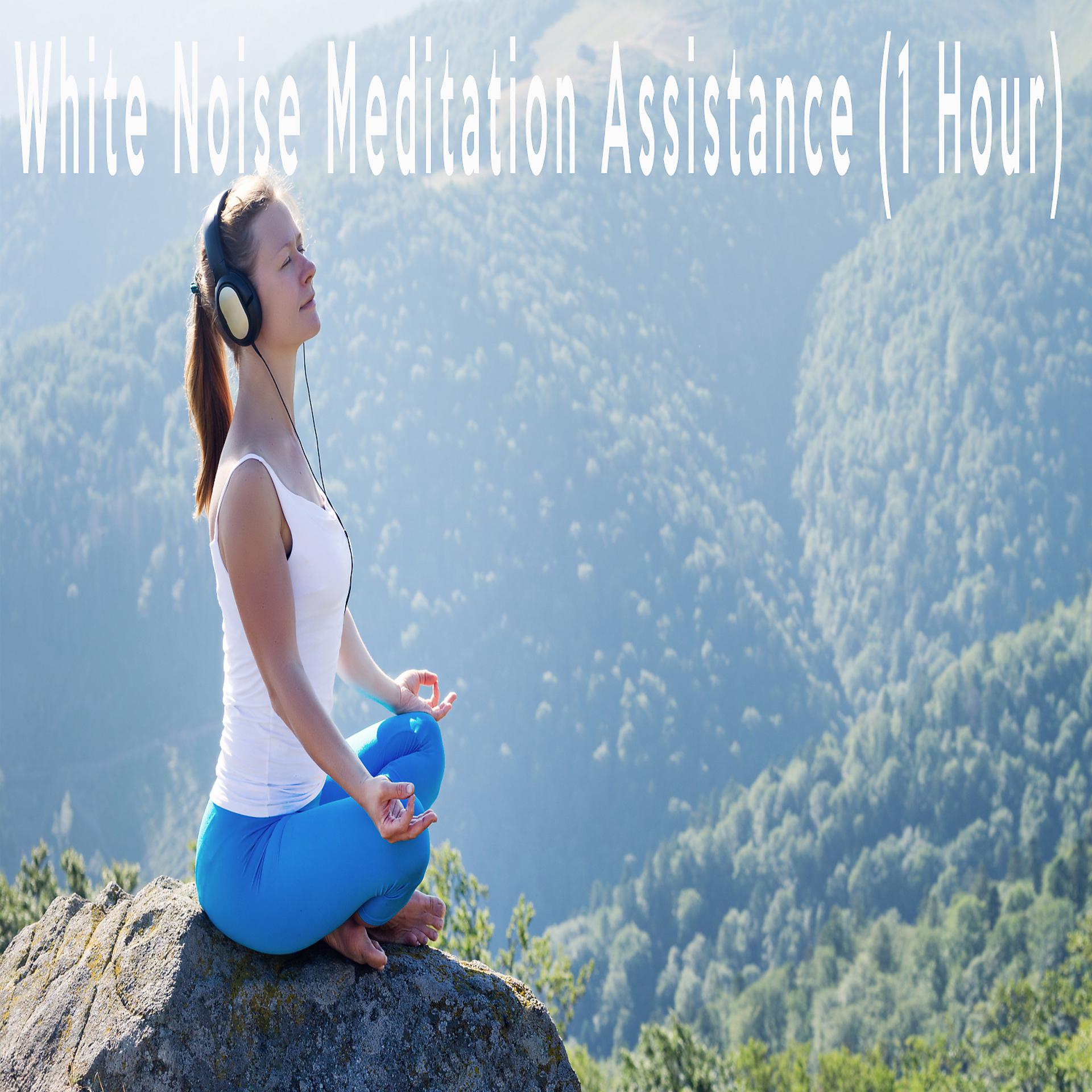 Постер альбома White Noise Meditation Assistance (1 Hour)