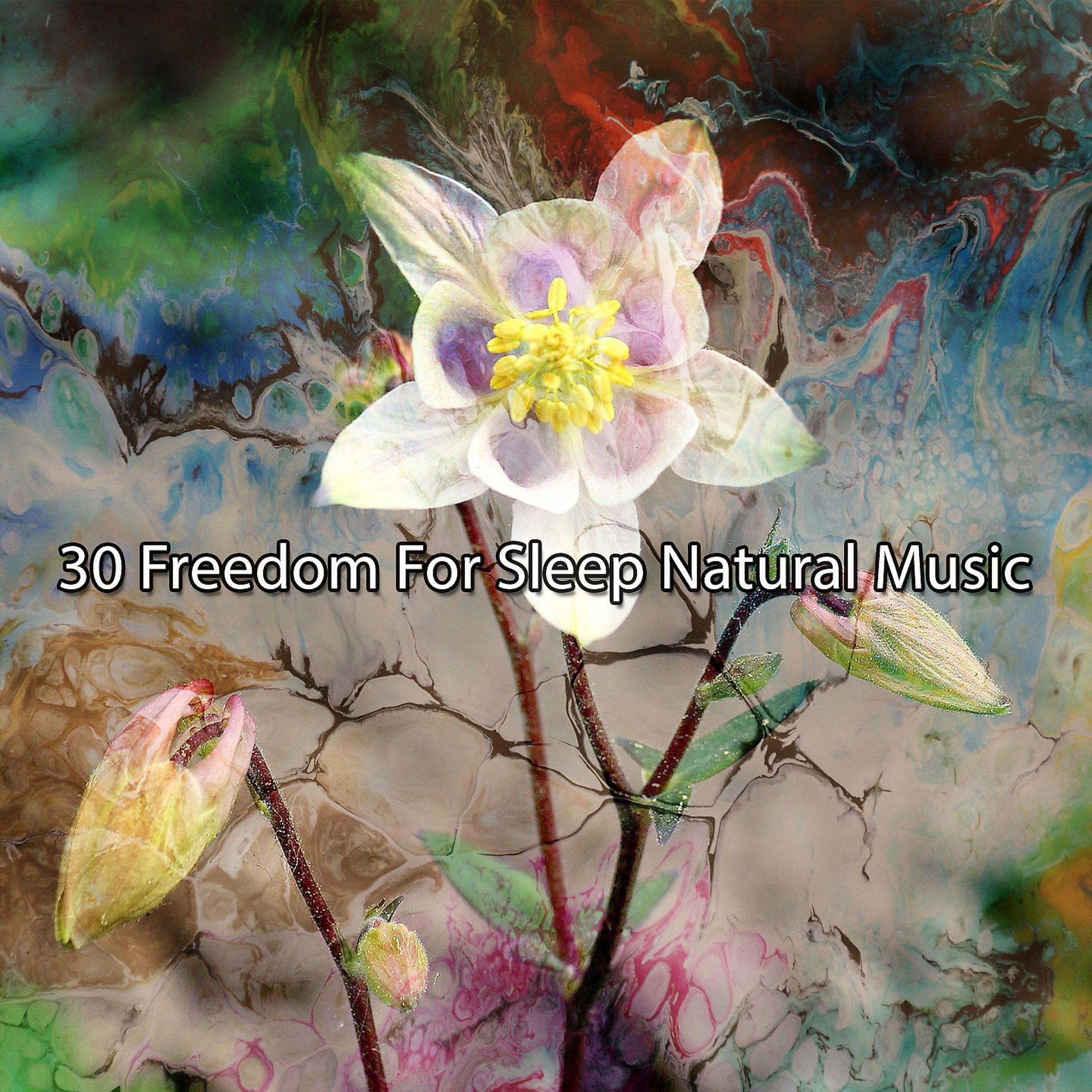 Постер альбома 30 Freedom For Sleep Естественная музыка