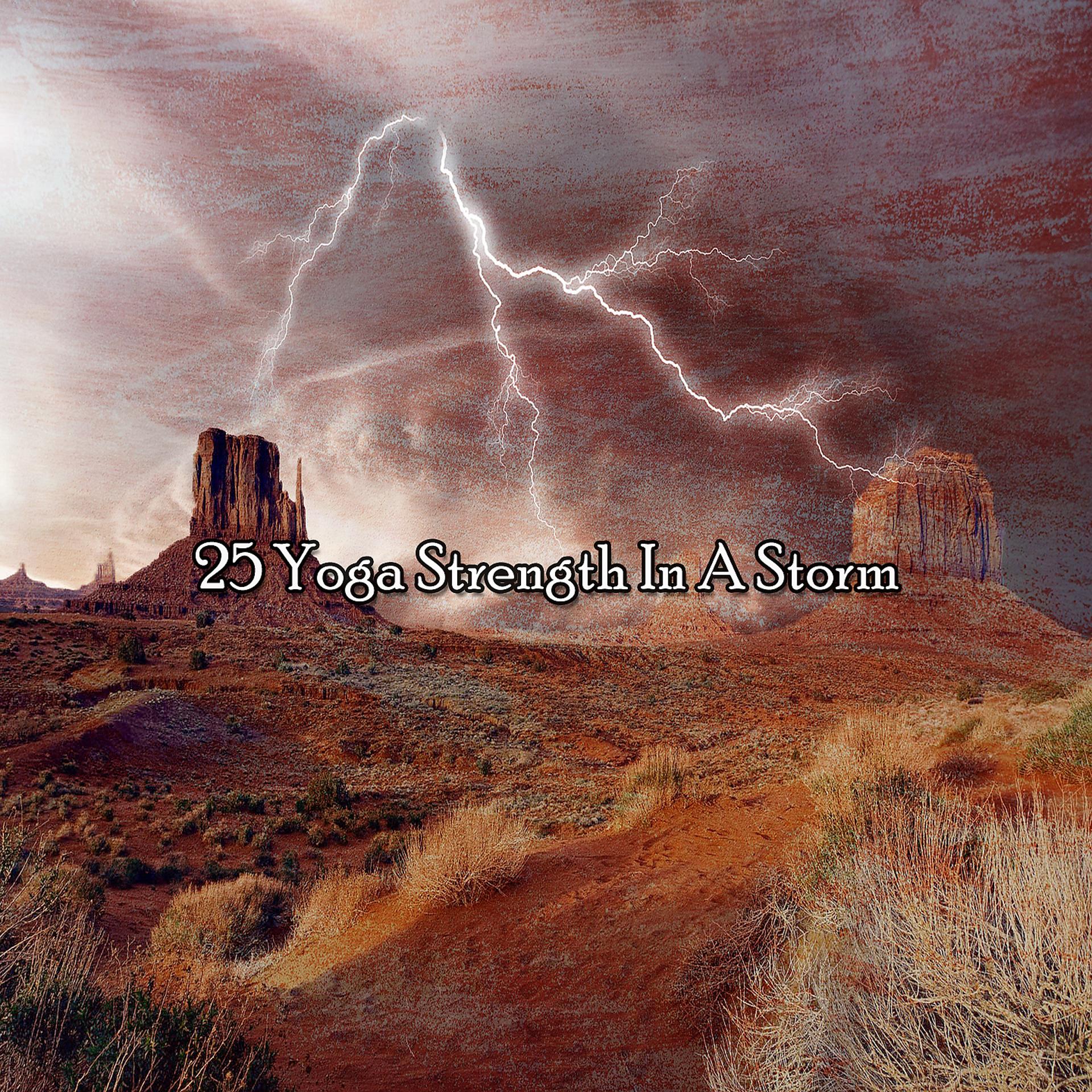 Постер альбома 25 Сила йоги в шторм